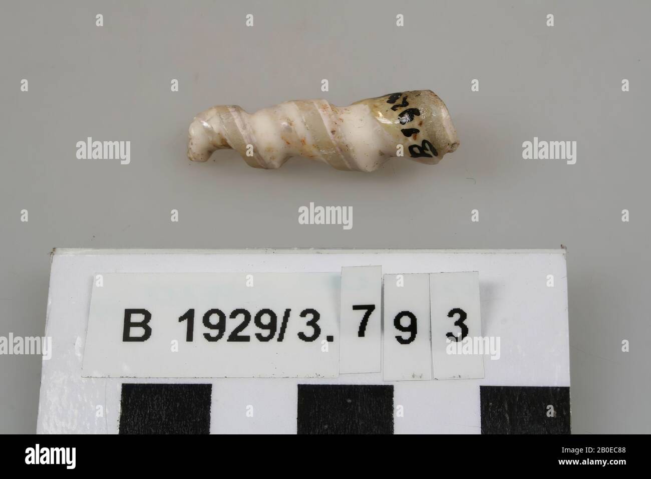 Schale, organisch, Schale, 1: 3,3 cm, Israel Stockfoto