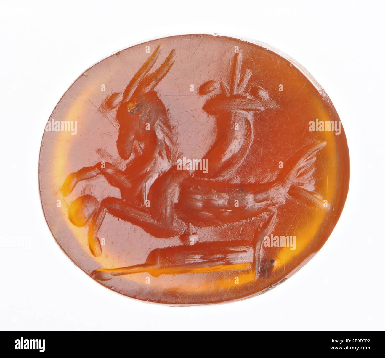 Ibex mit Fischschwanz und einem Globus zwischen den Vorderbeinen. Hinter dem Rücken eine Kornukopie und ein Ruder unter dem Körper. Hinterviertel schuppig, Schmuckstein, Intaglio, Ringstein, Stein, karnelisch, Farbe: Orange, transparent, Form: Oval, liegend, Verarbeitung: Maaskant-Kleibrink, M., Katalog der eingravierten Schmuckstücke im Königlichen Münzkabinett, 1978, S. 60, Abb. 2, Typ F1, 10 x 12 mm. Dicke 2 mm, 2. - 3. Jahrhundert nach Chr. 100-300, Niederlande, Limburger, unbekannt, unbekannt Stockfoto