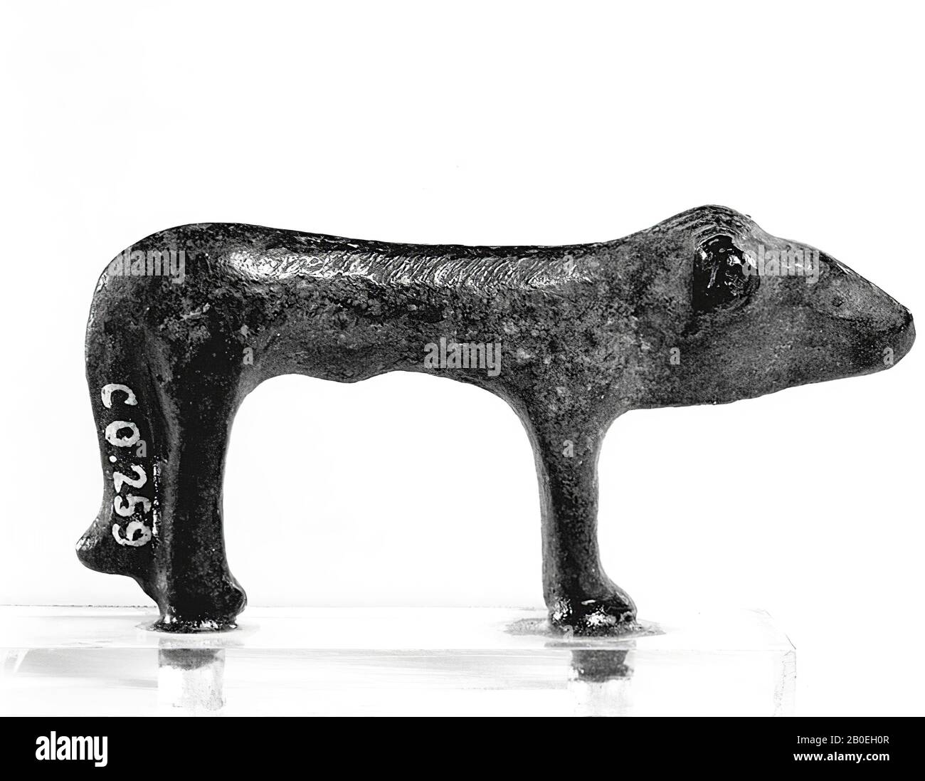 Klassisches Altertum, Tier, Bronze, 6,2 x 3 x 1,8 cm ex-Sockel, Sockel 6 x 2 x 0,5 cm, Standort, Italien Stockfoto