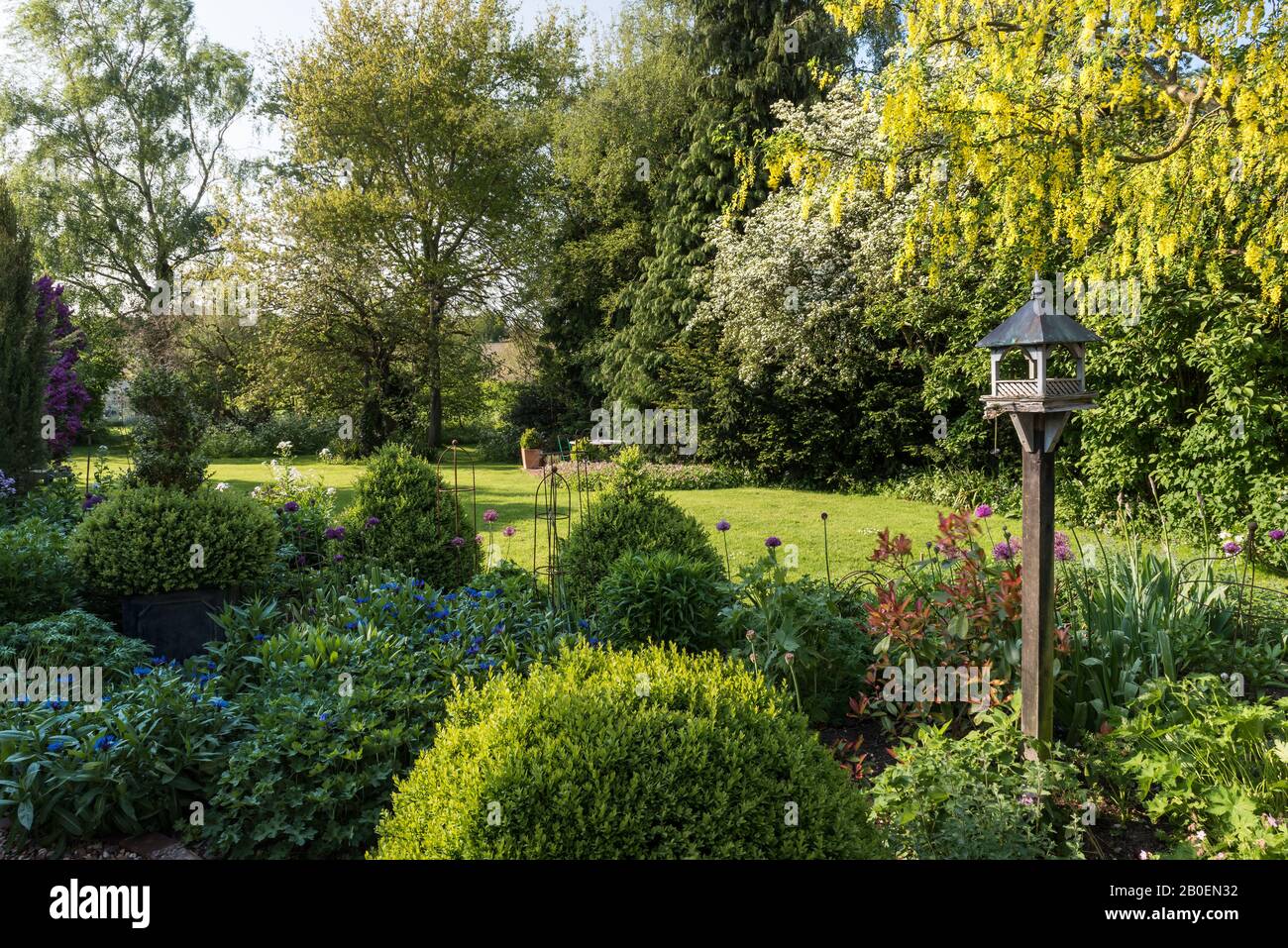 Vogelzubringer im sonnigen Suffolk-Garten Stockfoto