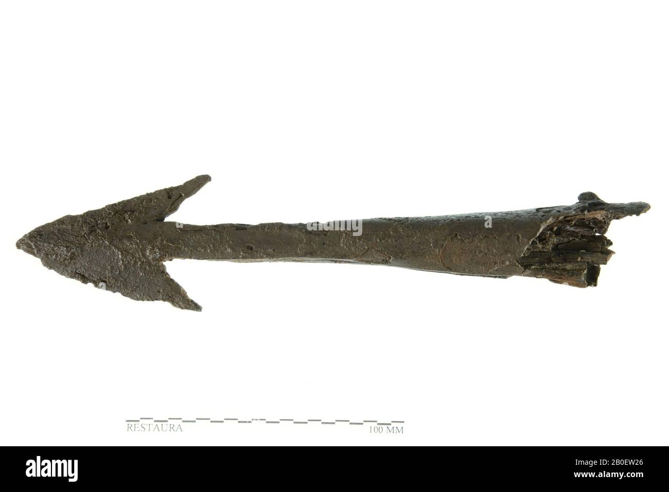 Harpune, Metall, Eisen, Mittelalter, Niederlande, Gelderland, Maasdriel, Heerewaarden, Maas Stockfoto