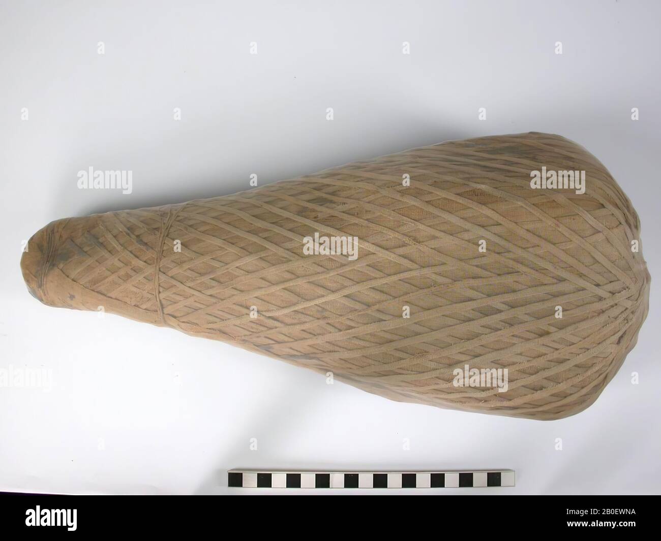 Ibis hat Die Mama die Form eines Dreieckskörpers mit abgerundetem Schulterbereich, der sich bis zum kaudalen Ende verjüngt. EIN erhöhter Grat verläuft in der Schulterachse, und die Oberseite des Körpers hat Facetten und eine leicht konkave Mitte, was auf anatomische Strukturen darunter hindeutet. Die Ober- und Unterseiten des Körpers sind durch ein 4 cm breites Band oder gelbbraunes mittelfeines Leinen getrennt (verformtes Tabby Webart, etwa 11 x 36 Fäden Stockfoto