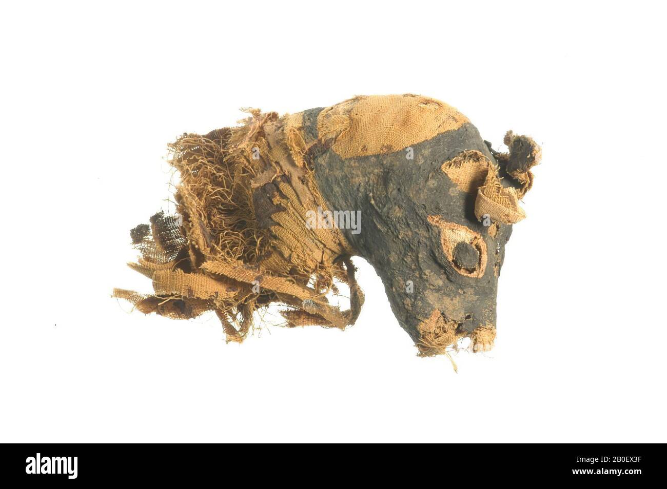 Hund, Kopf, Mumienhalter, Kartonnage, Stuck, Leinen, Länge: 14 cm, Griechisch-römische Zeit, Ägypten Stockfoto