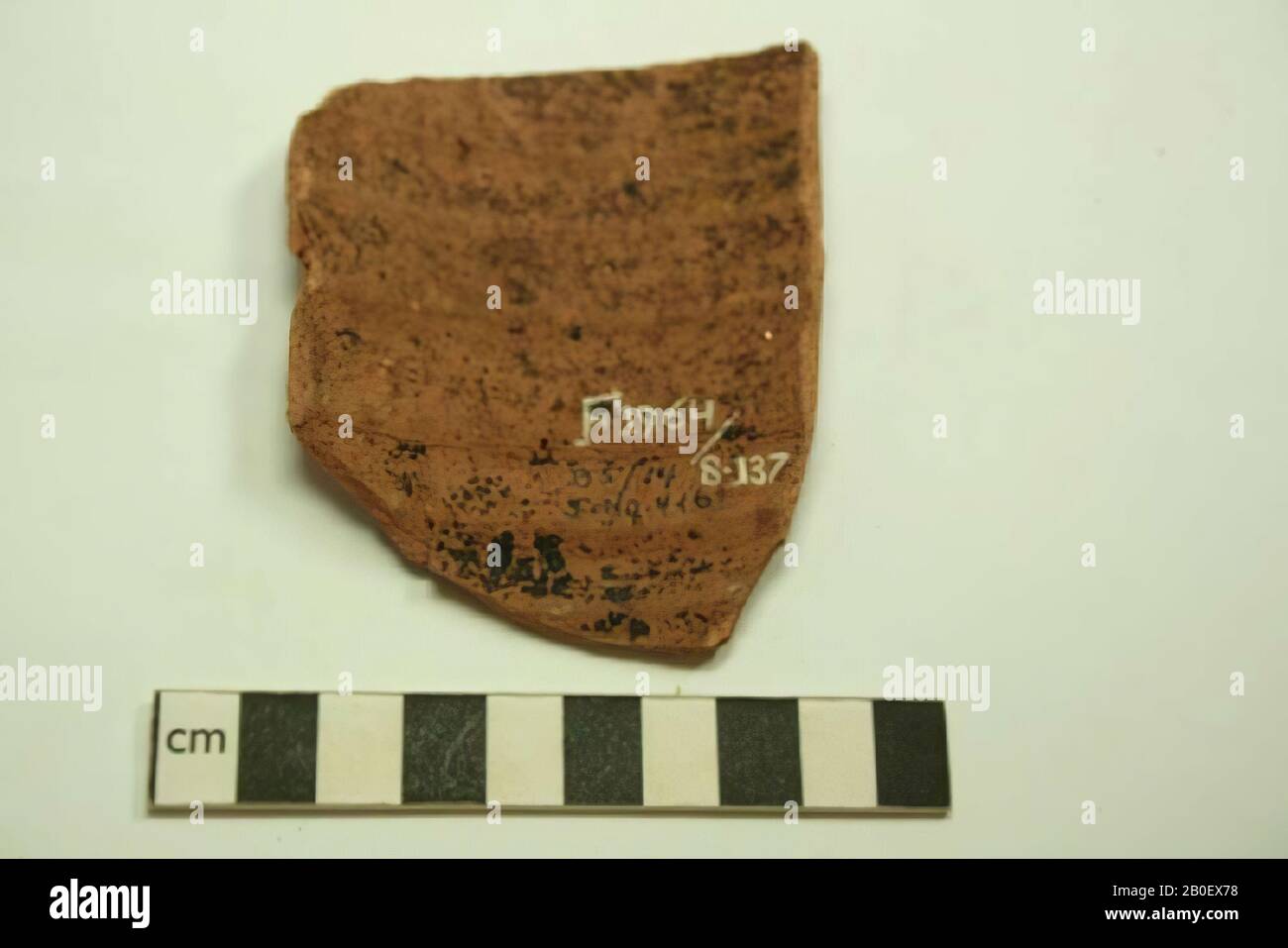 Schnur, Ostracon, demotisch, Steingut, 7,5 x 8,5 cm, Griechisch-römische Zeit, 2. Bis 4. Jahrhundert A.D., Ägypten Stockfoto