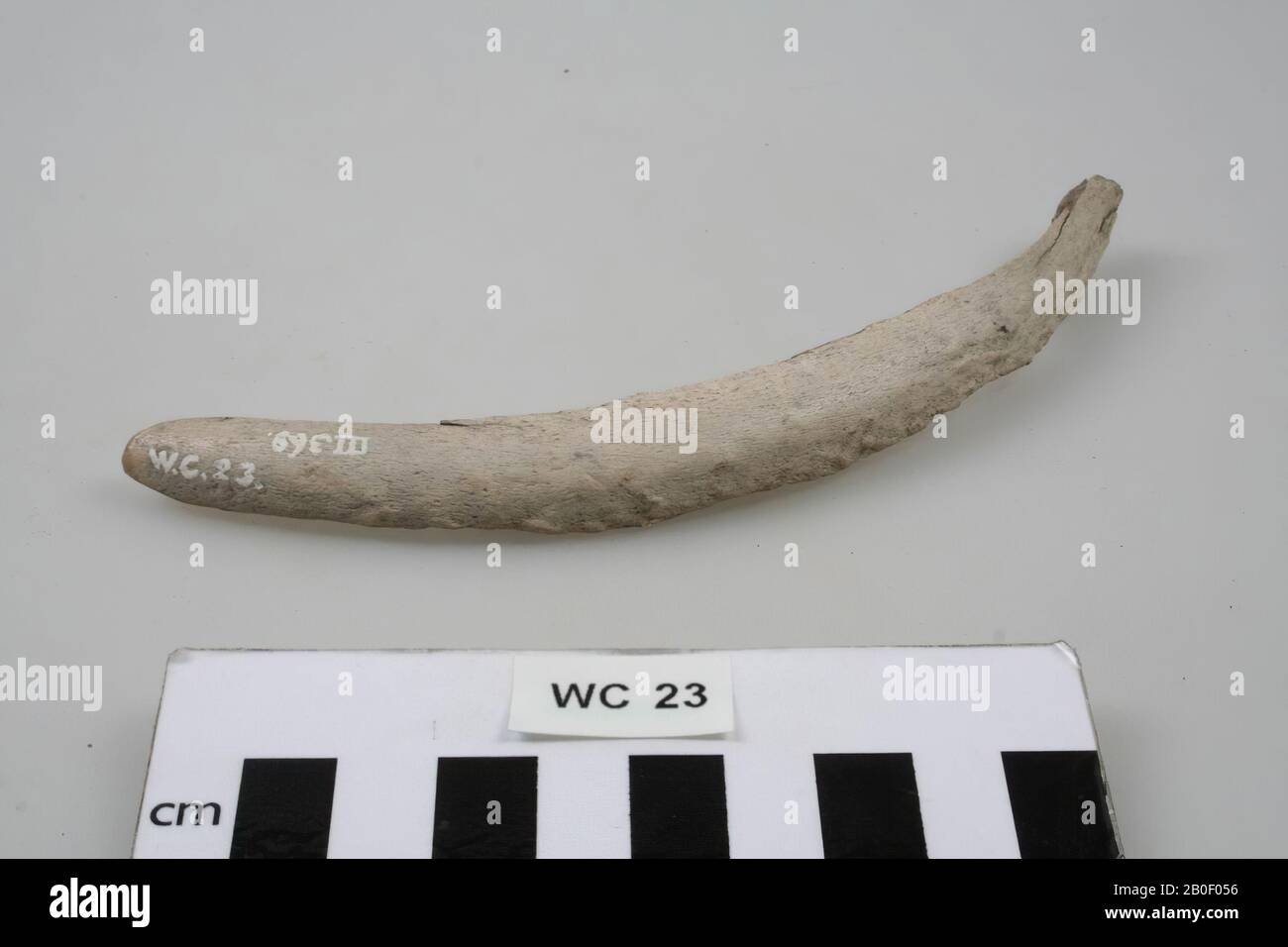 Ein Messer aus der Rippe eines vierbeinigen Tieres, Messer, organisch, Knochen, 1,5 x 4 x 15,5 cm, Schweiz, unbekannt, unbekannt, Wangen Stockfoto