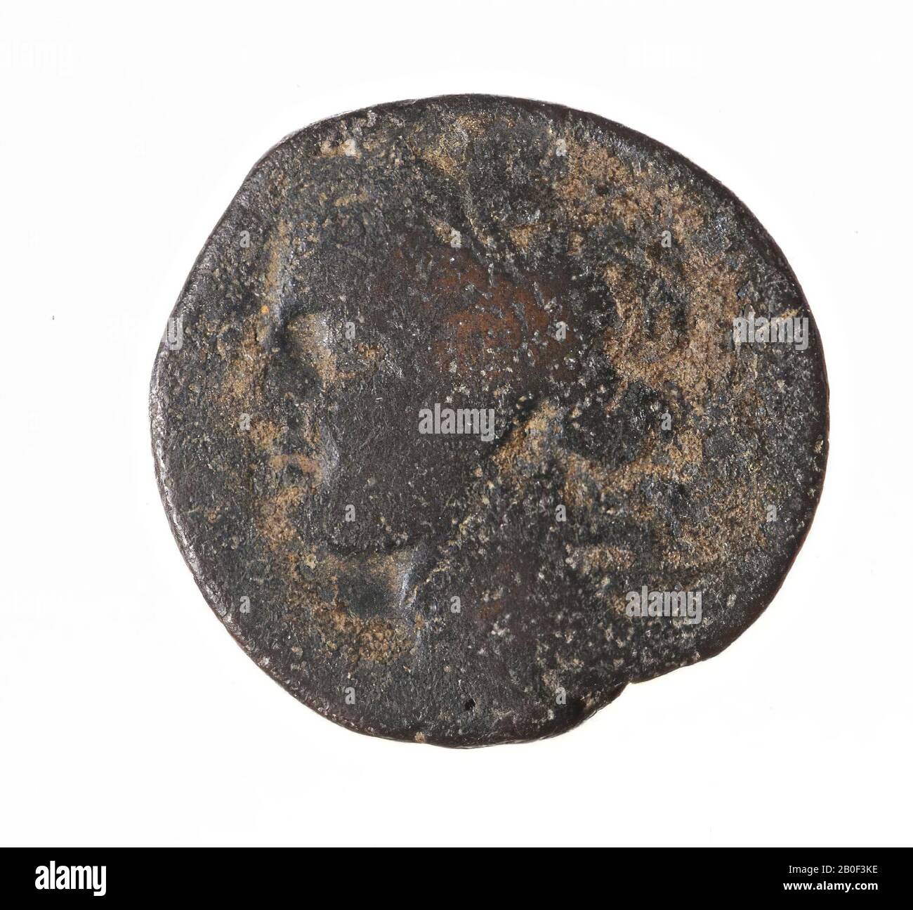 VZ: Tanitkop l., Kz: Pferd Nr. für Palme, Minze, AES-27, Karthago, Metall, Kupfer, Diam. 27 mm, WT. 19,44 gr, Roman BC 241-200, Italien Stockfoto