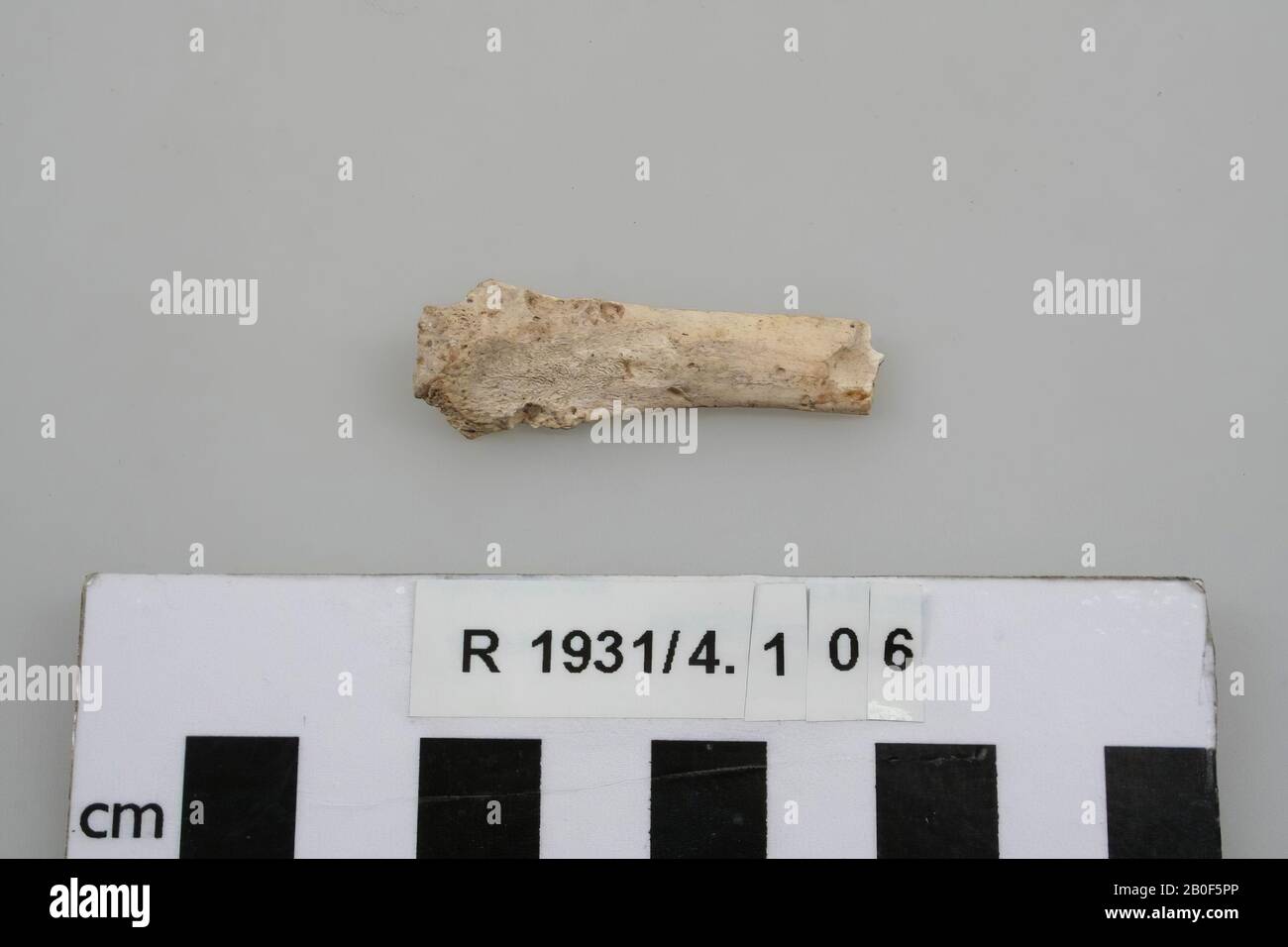 Fragment einer Extremität, priem, Fragment, organisch, Knochen, 4,4 x 1,3 x 0,7 cm, Frankreich, unbekannt, unbekannt, unbekannt Stockfoto