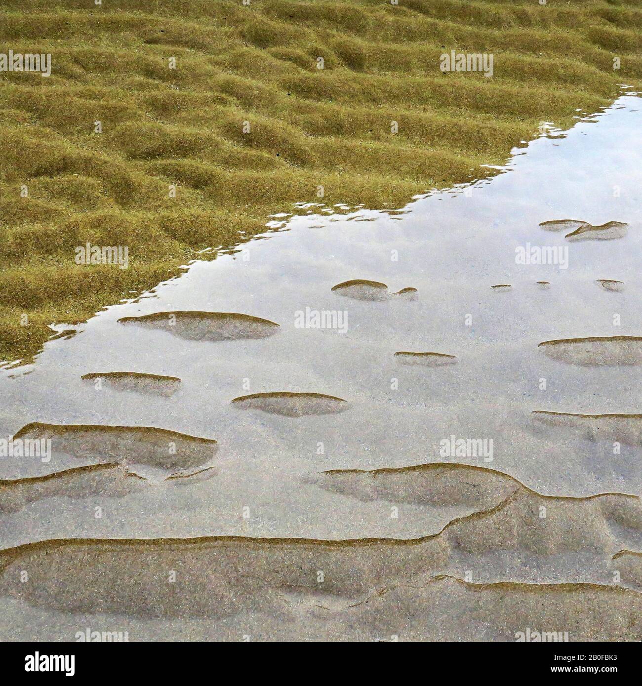 Abstrakte detaillierte Gezeiten Muster in den Sand bei Ebbe auf Penbryn Beach in South West Wales UK Stockfoto