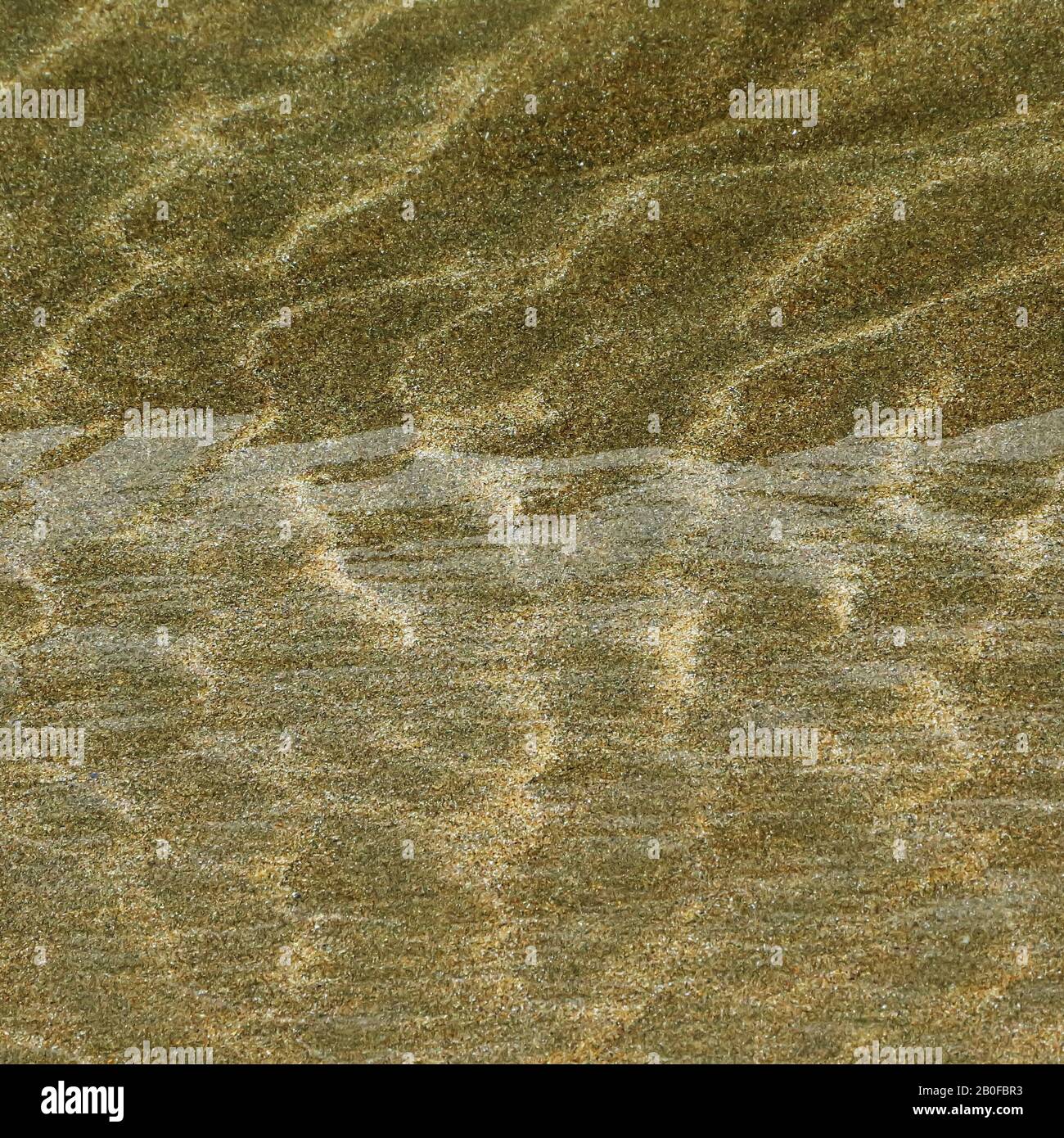 Abstrakte detaillierte Gezeiten Muster in den Sand bei Ebbe auf Penbryn Beach in South West Wales UK Stockfoto