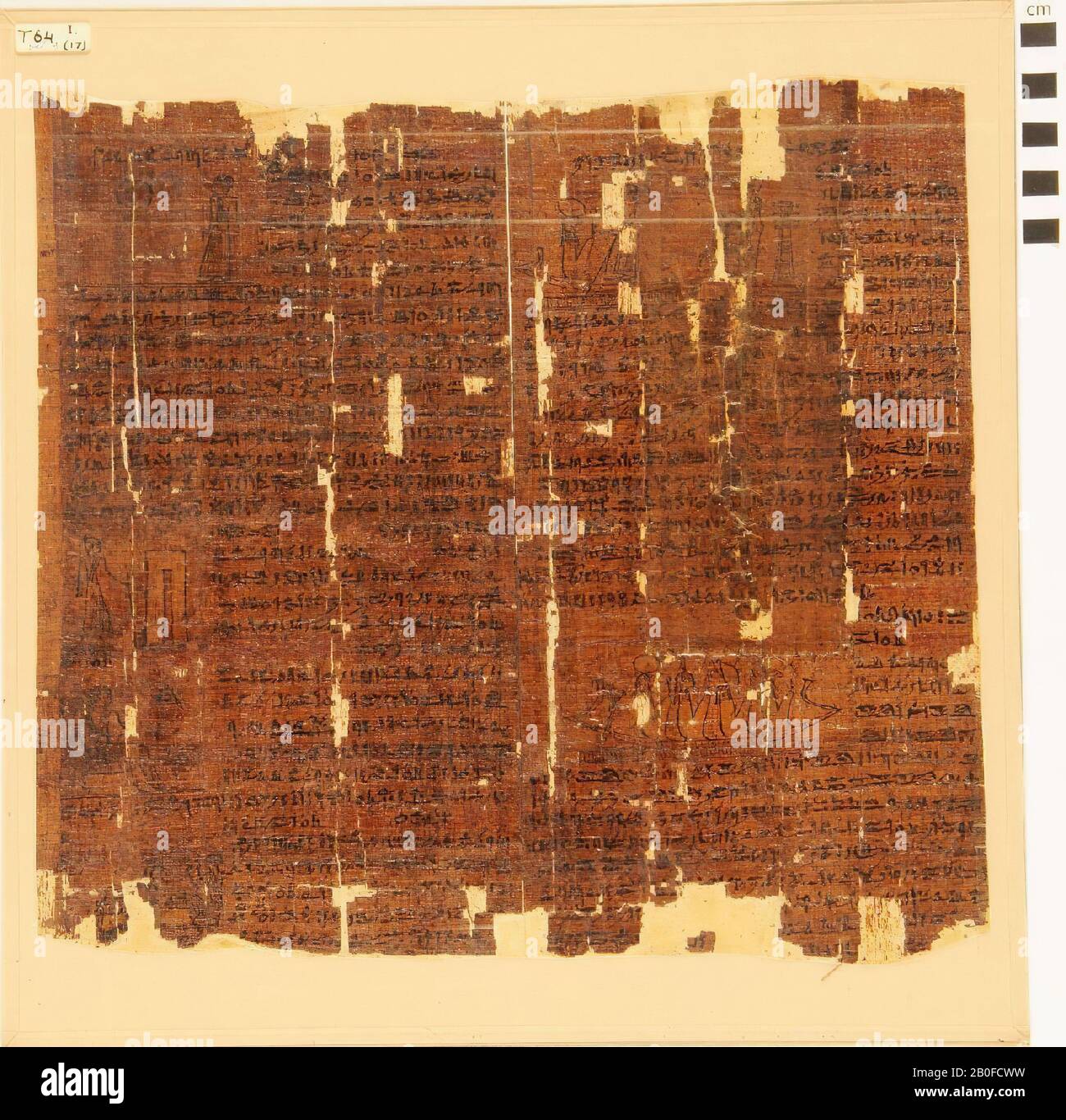 Ägypten, Handschrift, hieratisch, Papyrus, 36 x 38 cm Stockfoto