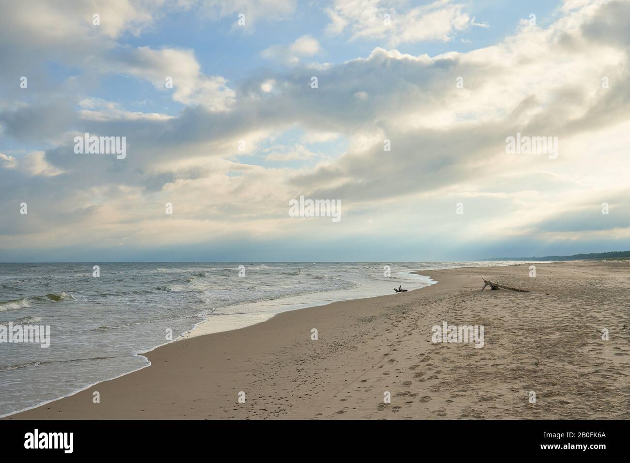 Ostseeküste mit Holzstumpf und bewölktem Himmel Stockfoto