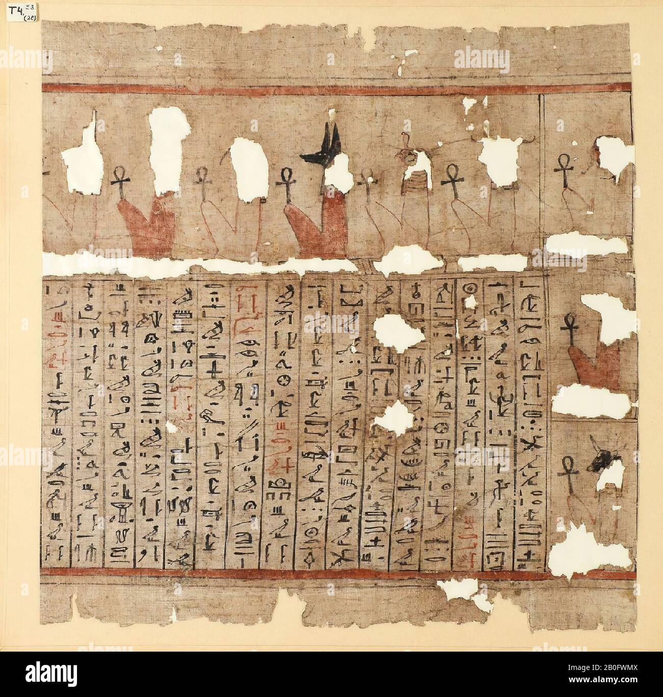 Ägypten, Sterbebuch, Papyrus, 39 x 38,5 cm Stockfoto