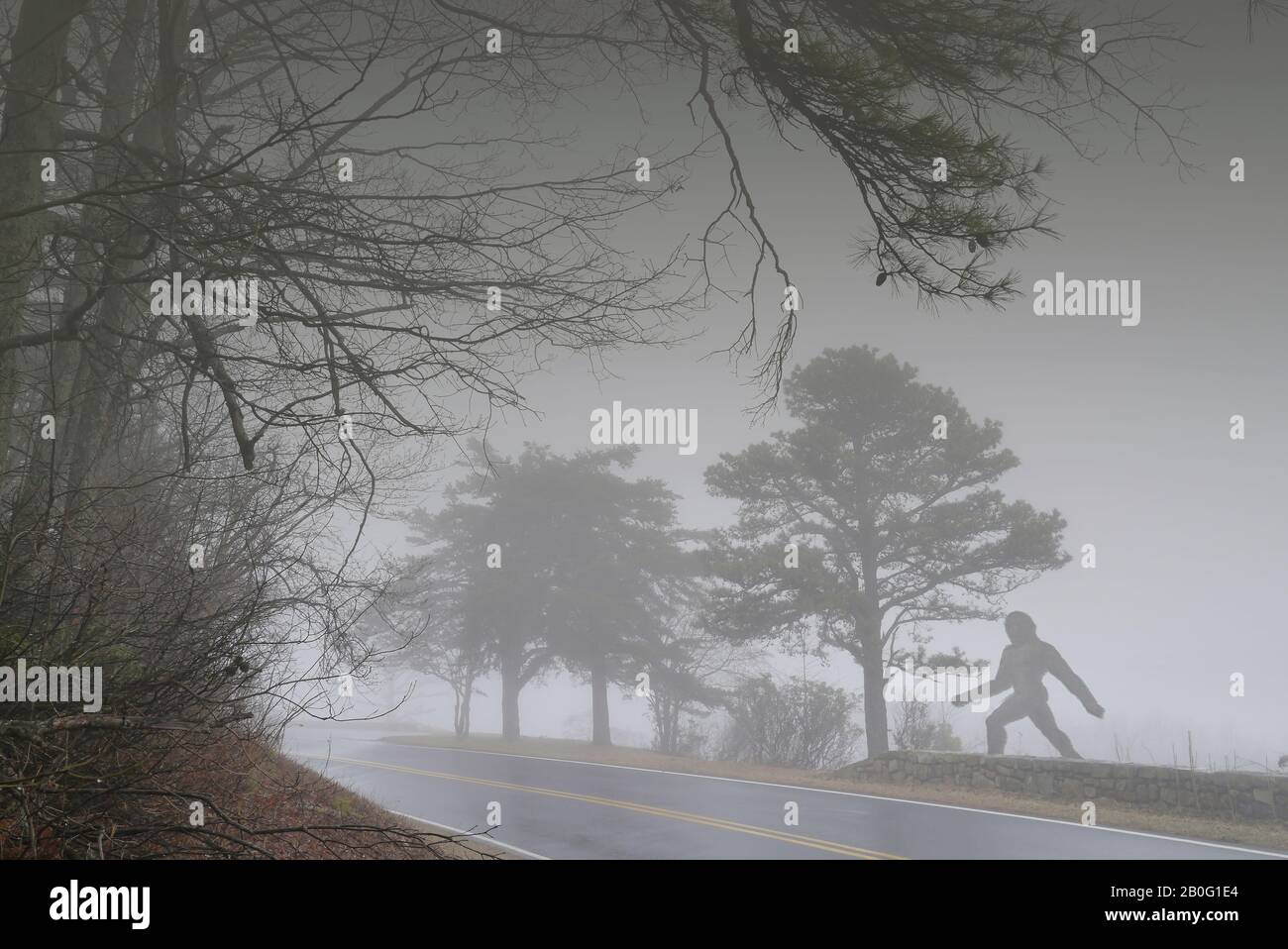 Bigfoot überquert die Straße im Nebel Stockfoto