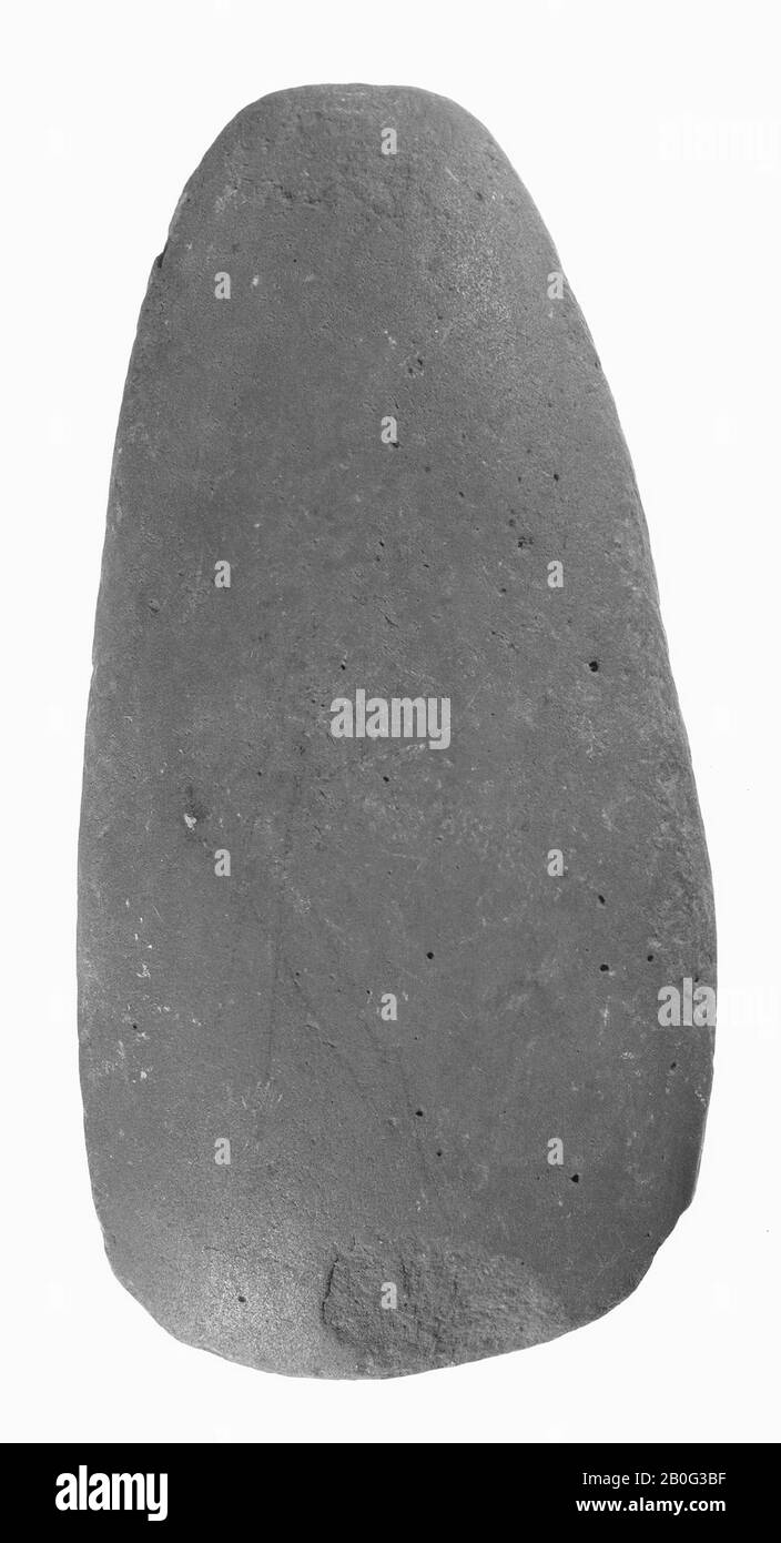 Gut geschnittene Steinaxt mit ovalem Querschnitt. Die Seiten sind durch Klopfen leicht flach. Den Stumpf abschneiden. Ammonit-haltiges graues Gras, Axt, Stein, 12,2 x 6,2 cm, prähistorische -4000 Stockfoto