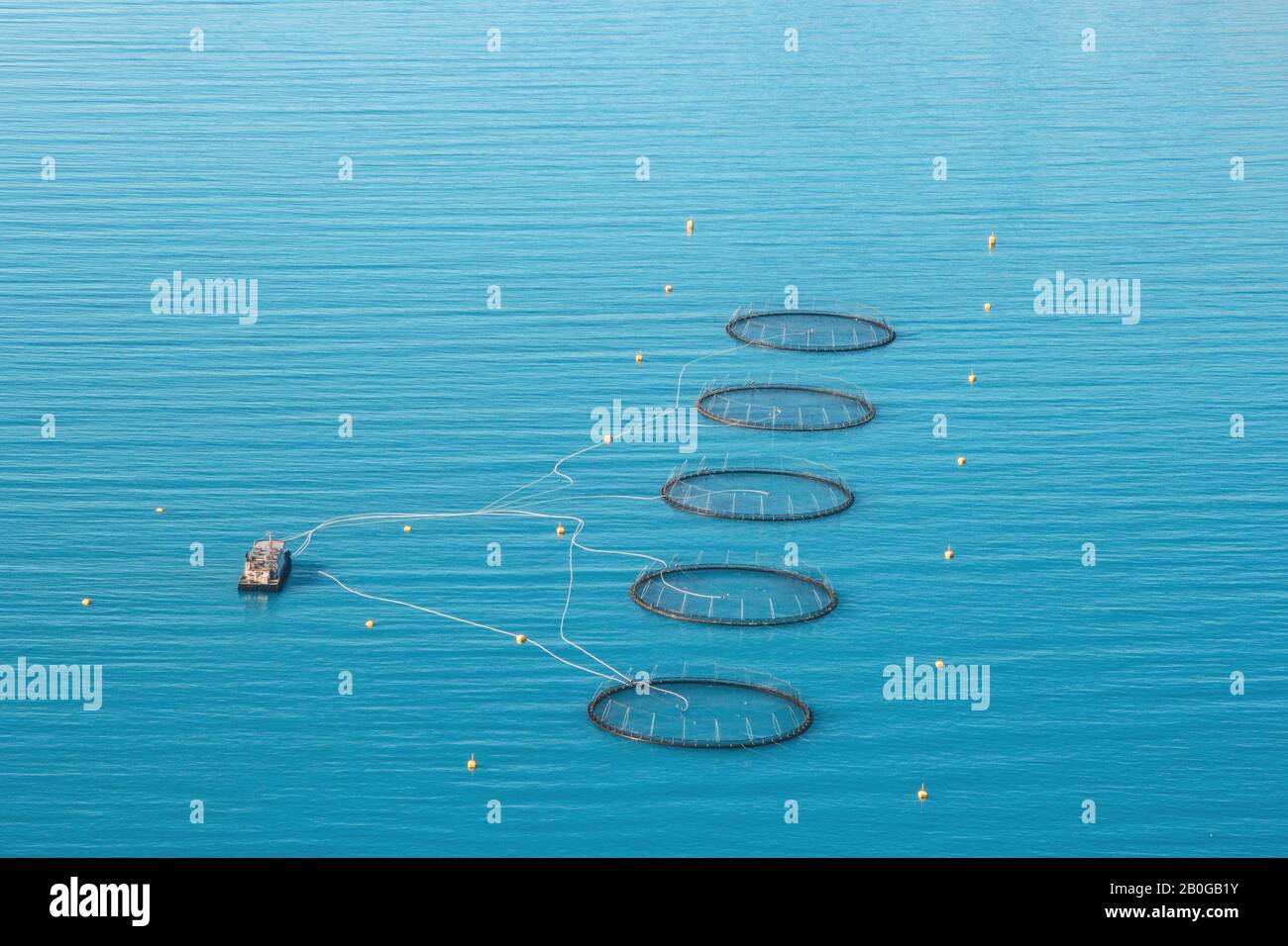 Fischhaltung in Norwegen mit schwimmenden Käfigen und Schiffsluftsicht blaues Meer Stockfoto