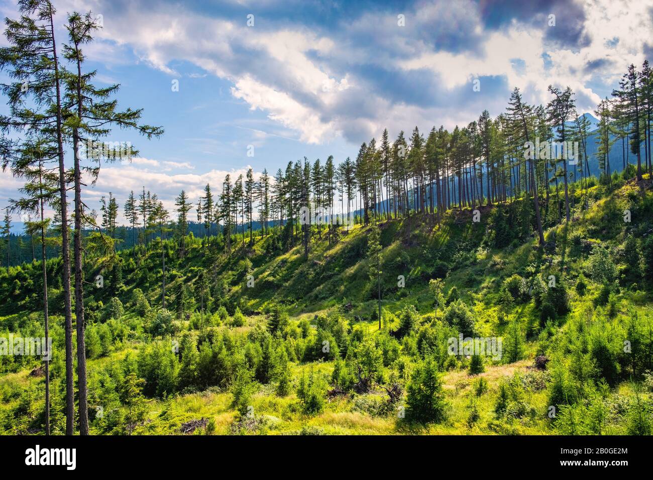 Panoramablick auf das Sub-Tatra-Tiefland unter dem Hochplateau von Skalnate Pleso am Gipfel von Lomnica - Lomicky stit - in der slowakischen Tatra in der Nähe von Tatranska Stockfoto