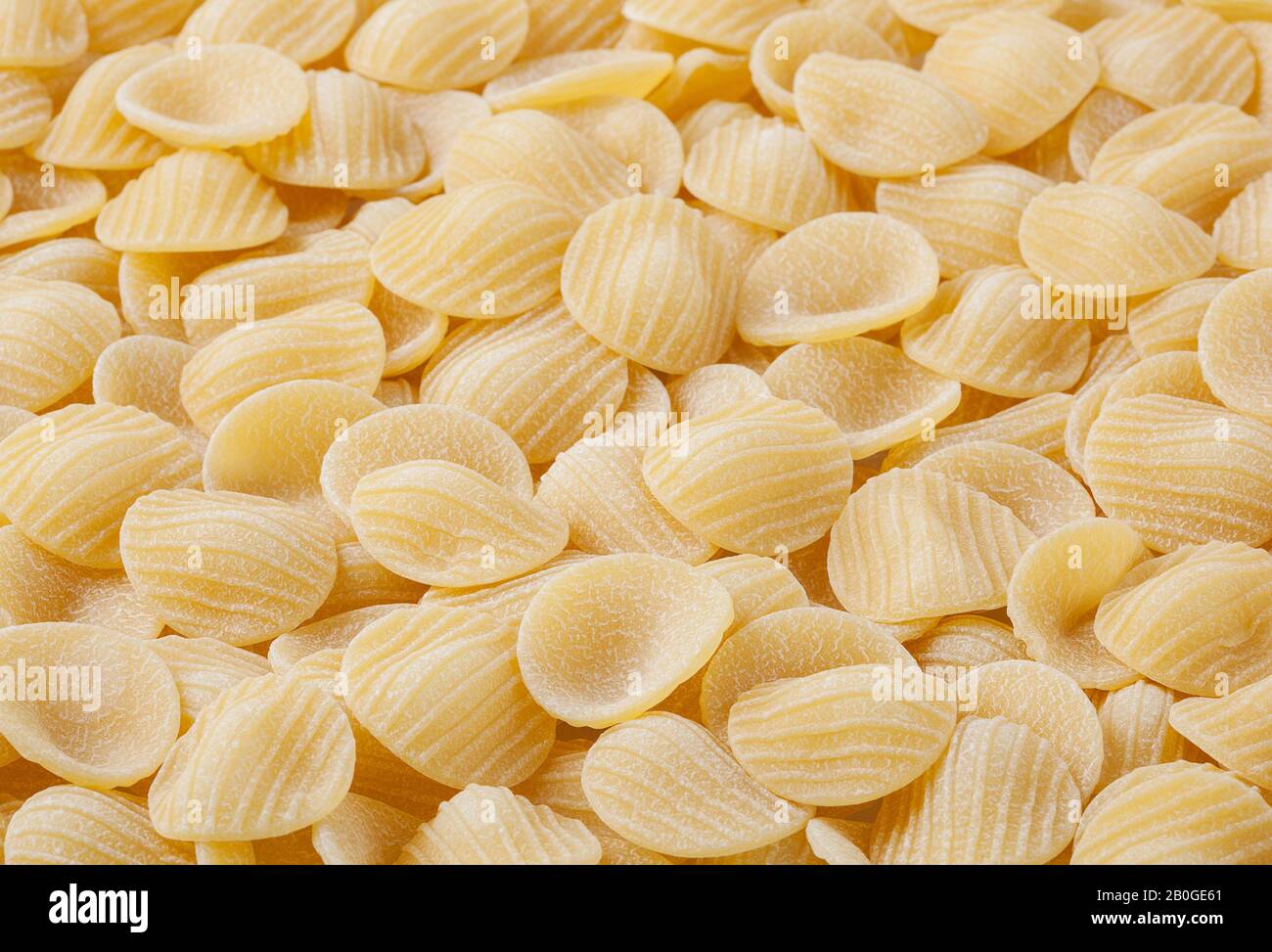 Uncooked orecchiette Pasta Hintergrund Stockfoto