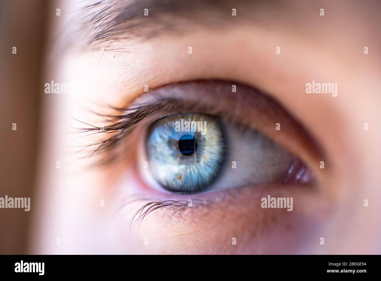 Nahaufnahme eines blauen weiblichen menschlichen Augenfotos Stockfoto