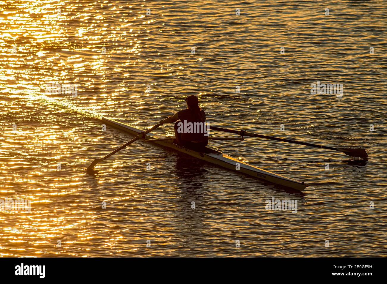 Sculling am Tempe Town Lake, Tempe, Az. Stockfoto