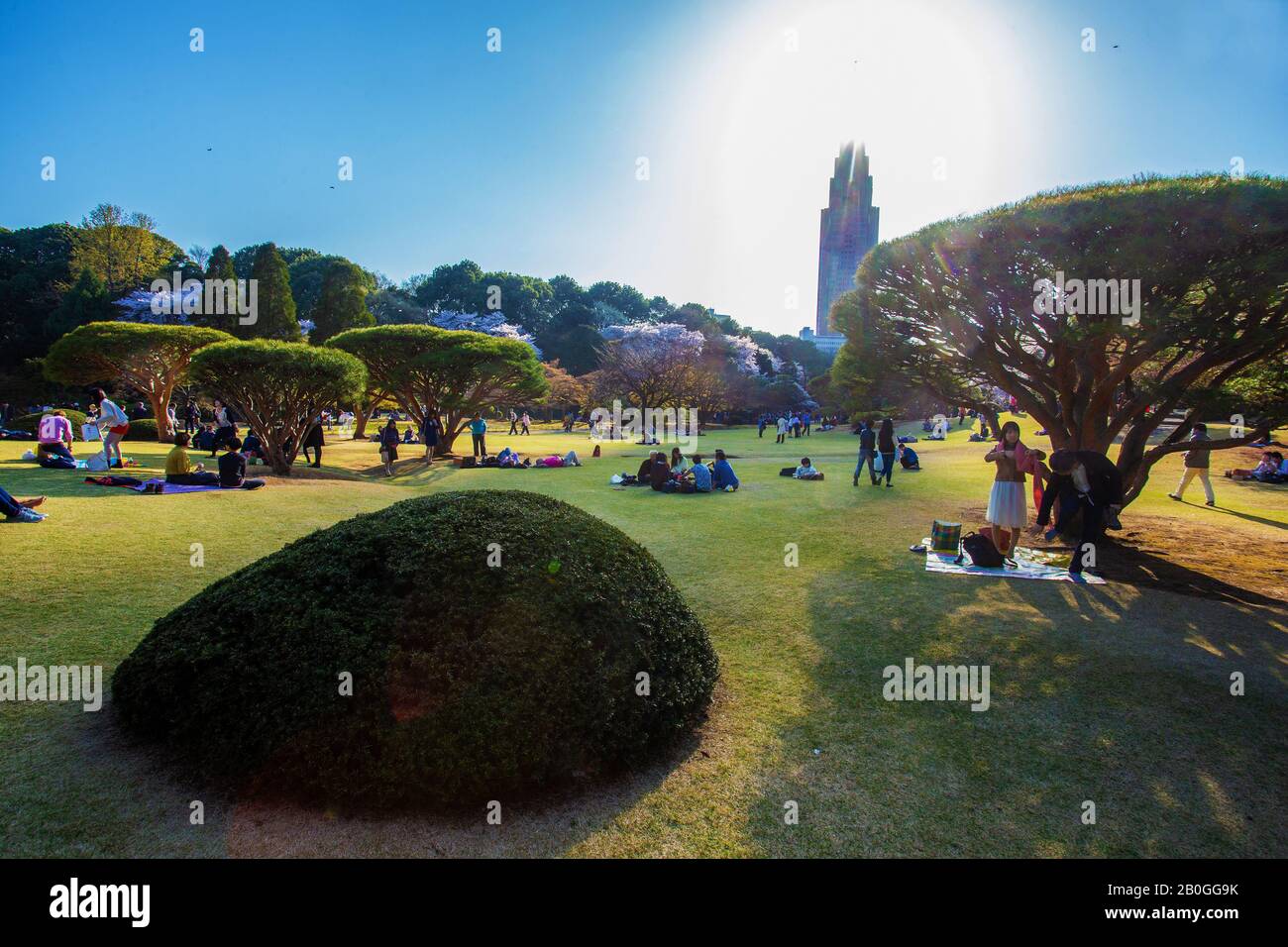 03/31/2015 Tokio , Japan. Die Menschen in Shinjuku Gyoen National Garden an den Feiertagen von Sakura (Kirschblüte). Es war warmer Tag (nicht offizieller Feiertag) Stockfoto