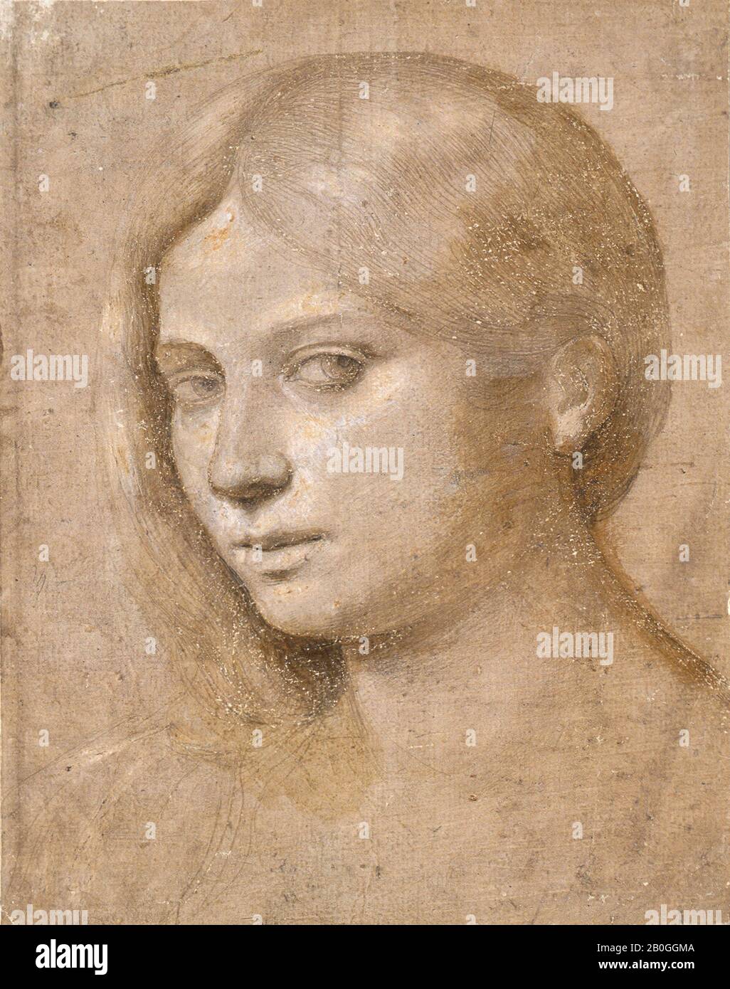 Unbekannt, Kopf eines Mädchens, 16. Jahrhundert, Metalpoint und hellbraune Wäsche mit Weiß auf graubraun zubereitetem Papier Erhöht, Gesamt: 9 1/8 x 7 1/16 Zoll. (23,2 x 17,9 cm Stockfoto