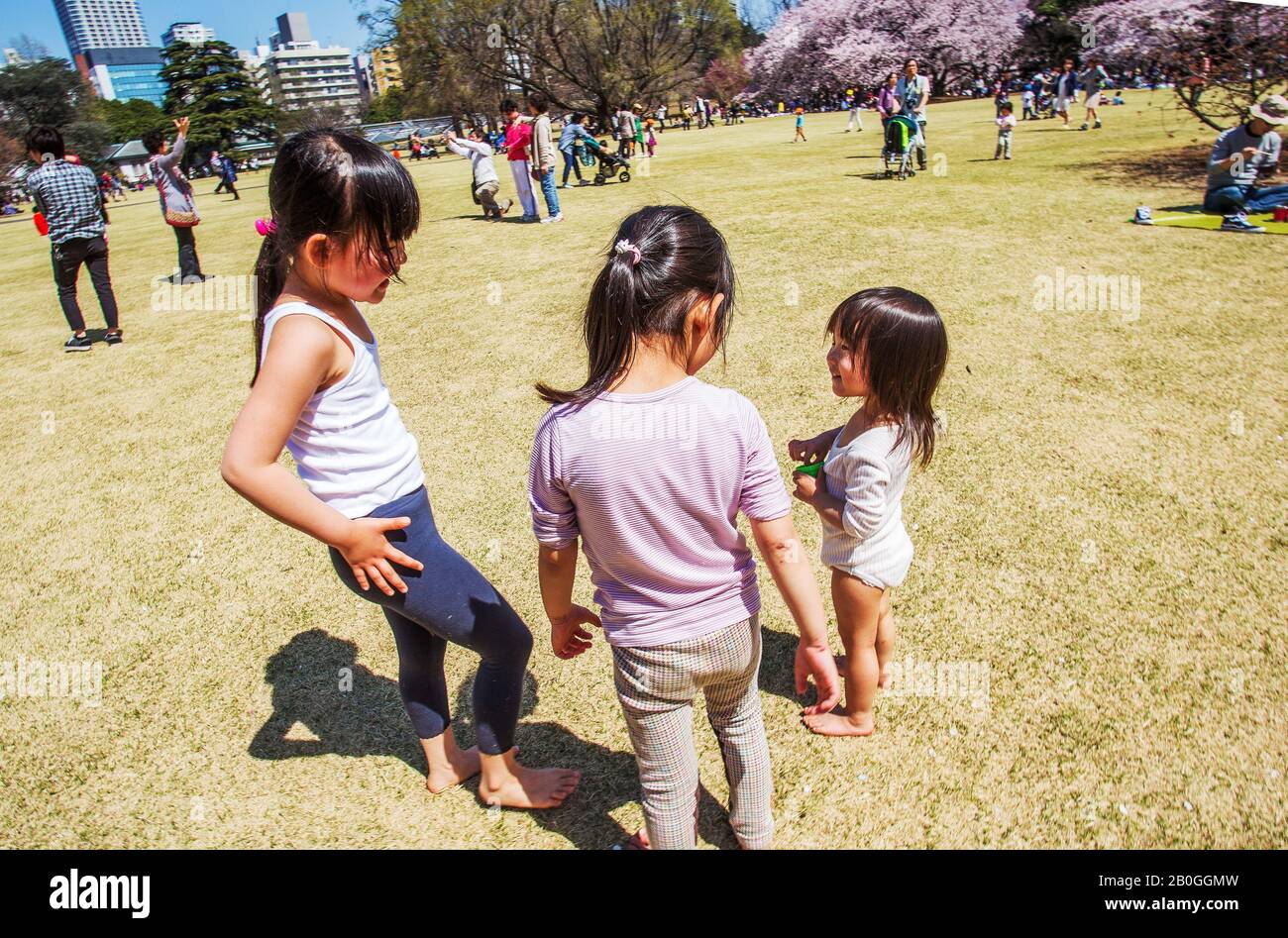 31.03.2015 Tokyo Japan. Urlaub der Kirschblüte - Sakura! Tausende von Menschen in Shinhjuku Gyoen, März Stockfoto