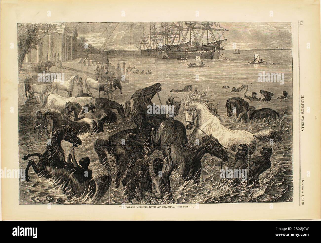 Künstler unbekannt, The Horses' Morning Bath at Calcutta, From Harper's Weekly, 1868, Wood Gravur auf Papier, Bild: 9 1/8 x 13 3/4 in. (23,2 x 35 cm Stockfoto