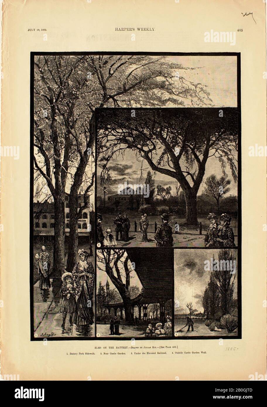 Julian Walbridge Rix, amerikanisch, 1850-1903, Elms on the Battery, 1885, Holzgravur auf Papier, Bild: 12 1/2 x 9 3/16 Zoll. (31,7 x 23,3 cm Stockfoto