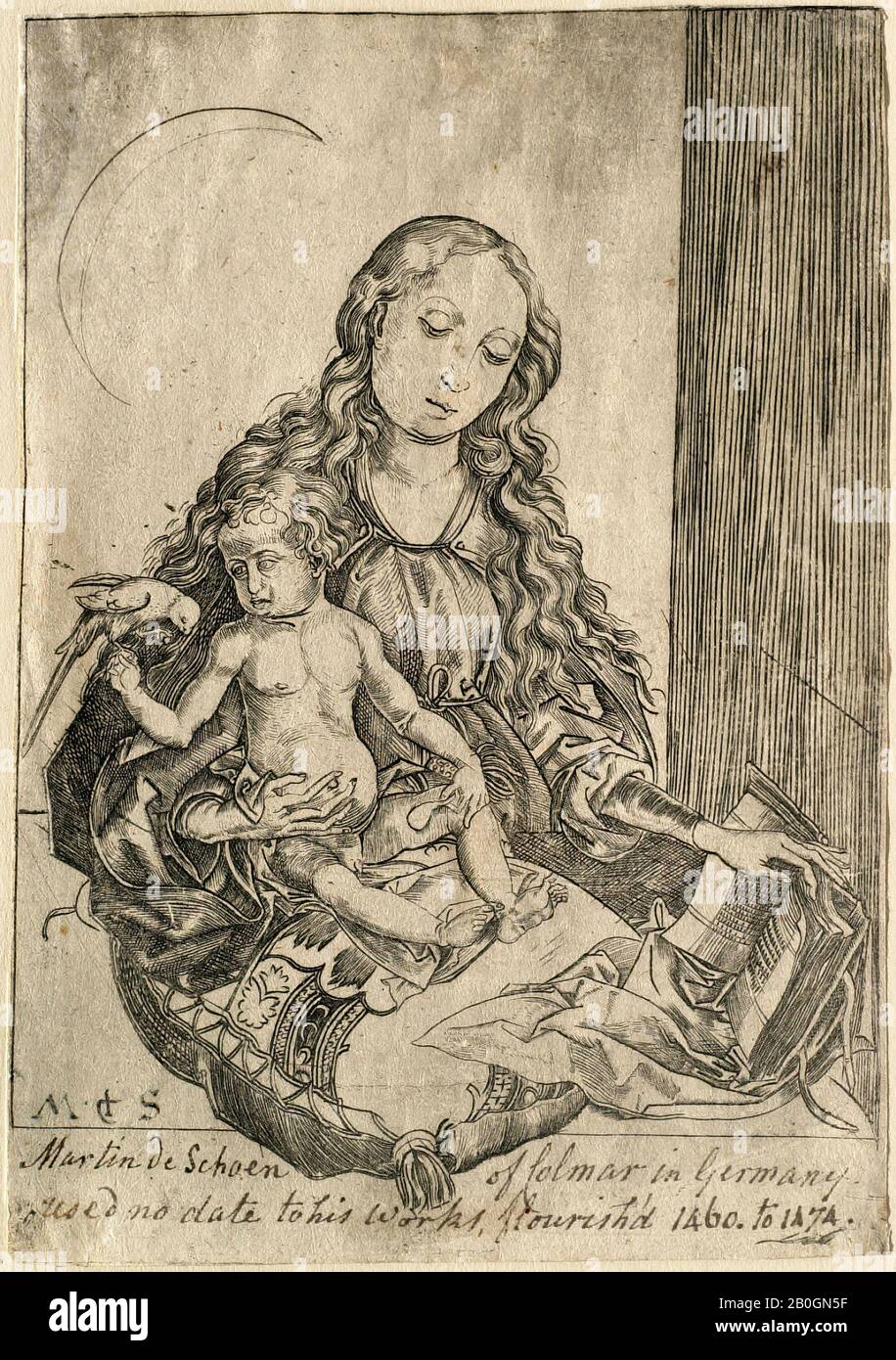 Nachdem Martin Schongauer, Deutscher, c 1430-1491, Die Madonna mit dem Papagei, 1565-1700, Gravur auf verlegtem Papier, Platte: 6 1/8 x 4 3/8 Zoll. (15,5 x 11,1 cm Stockfoto