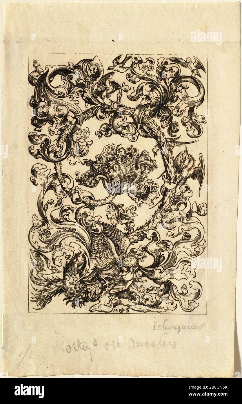Nachdem Martin Schongauer, Deutscher, c 1430-1491, Tafelschmuck mit einer Eule, Original: 1480, Gravur auf verlegtem Papier, Bild: 5 5/8 x 3 7/8 Zoll. (14,3 x 9,8 cm Stockfoto