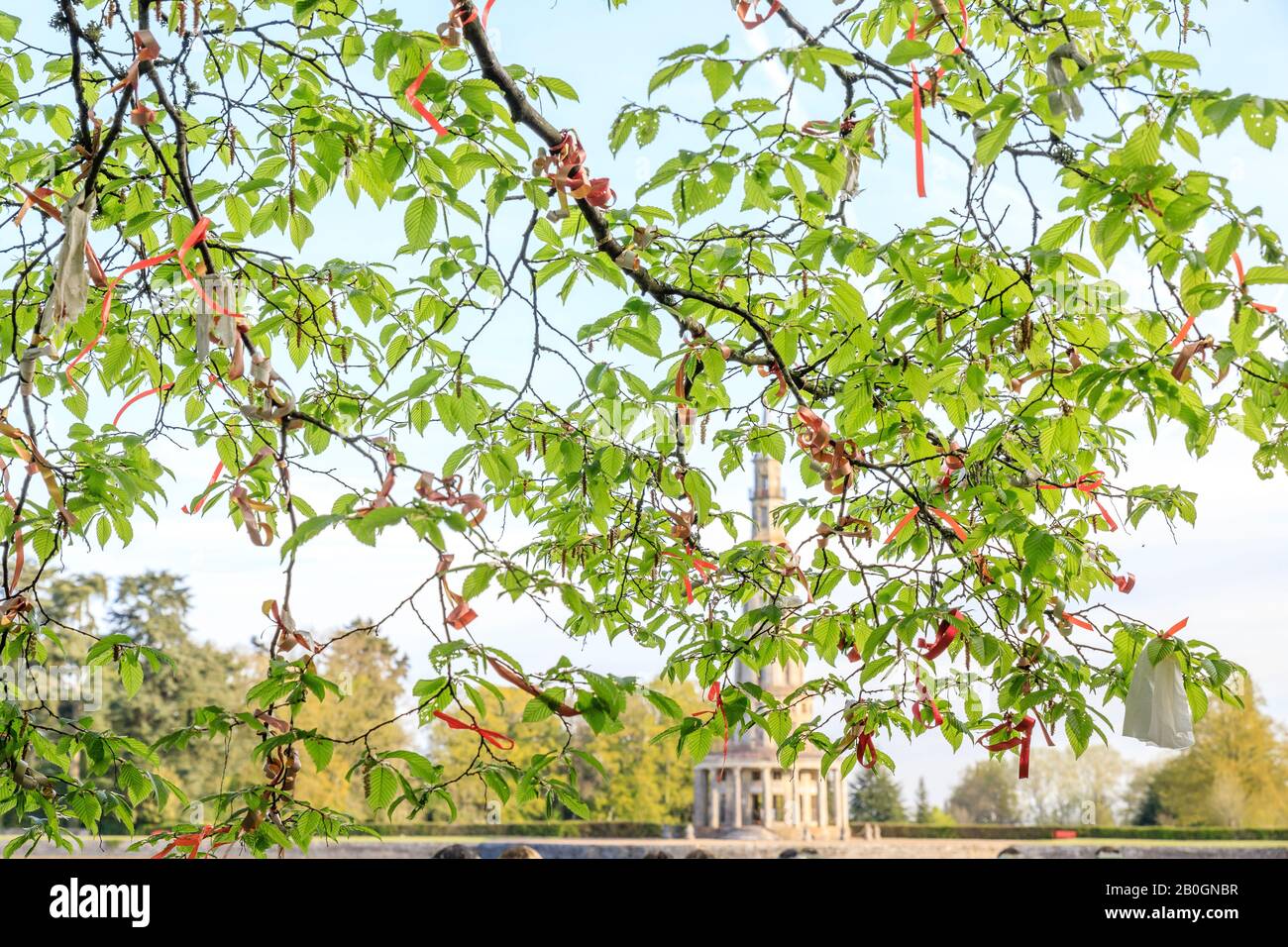 Frankreich, Indre et Loire-Tal, das von der UNESCO zum Weltkulturerbe ernannt wurde, Amboise, Pagode de Chantaloup, Wishing Tree // Frankreich, Indre-et-Loiré (37), V Stockfoto