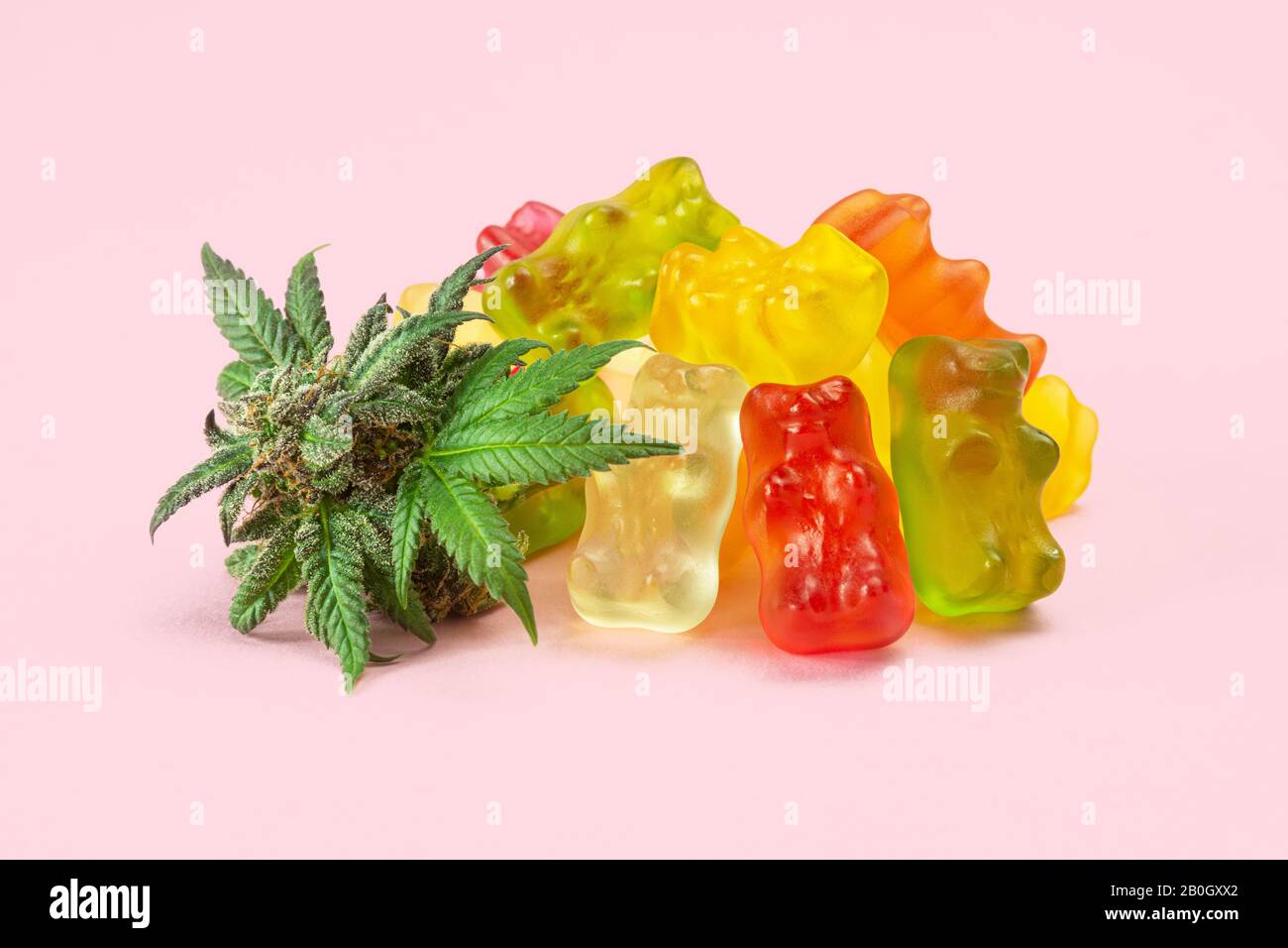 Gummy Bear Medical Marihuana Edibles, Bonbons Infundiert mit CBD oder THC, mit Cannabis Bud Isoliert auf Pink Background Stockfoto