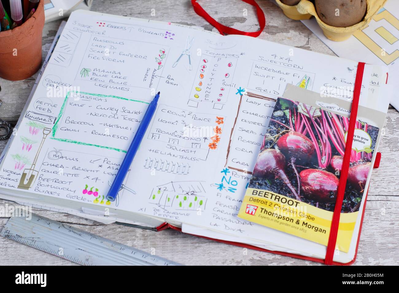 Planen eines Gemüsegartens im Spätwinter mit Gartennotizbuch, Pflanzkartoffeln und Saatgutpaketen. GROSSBRITANNIEN Stockfoto