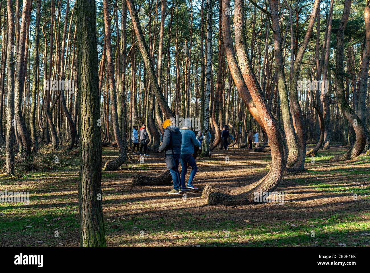 Gmina Stockfotos und -bilder Kaufen - Alamy