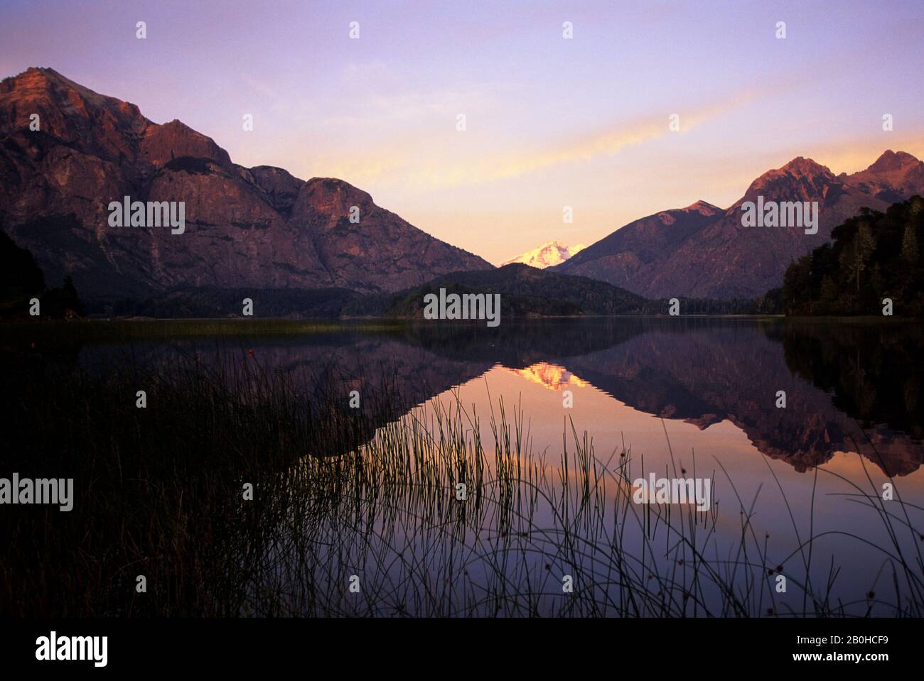 ARGENTINIEN, IN DER NÄHE VON BARILOCHE, BEZIRK LAKE, BLICK AUF DEN VULKAN TRONADOR, SCHILF Stockfoto