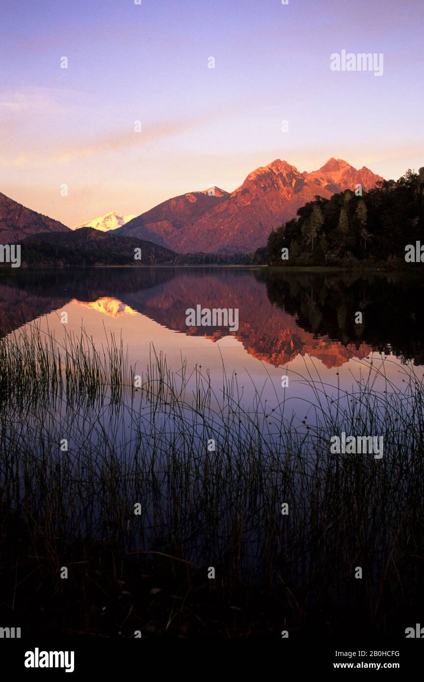 ARGENTINIEN, IN DER NÄHE VON BARILOCHE, BEZIRK LAKE, BLICK AUF DEN VULKAN TRONADOR, SCHILF Stockfoto