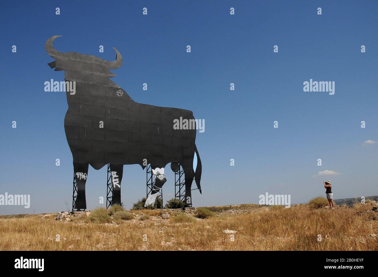 Monegros, toro osborne, publicidad; Bulle; Stockfoto