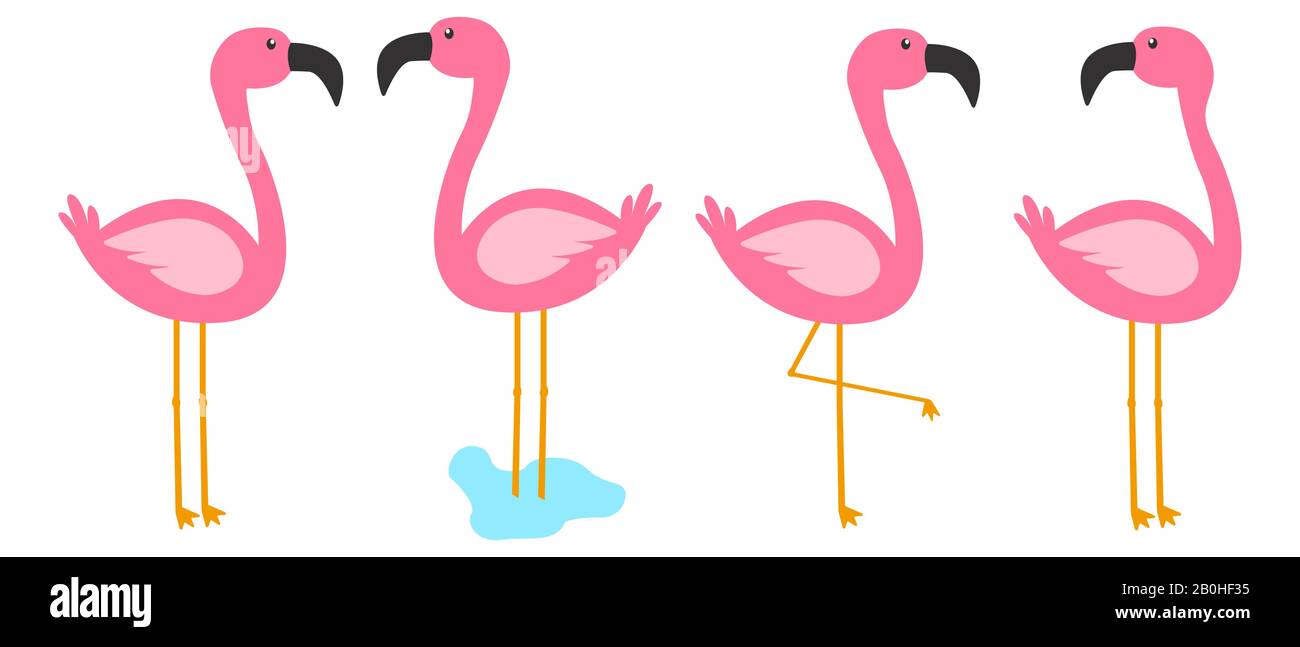 Vier rosafarbene Flamingo-Kollektion Stock Vektor