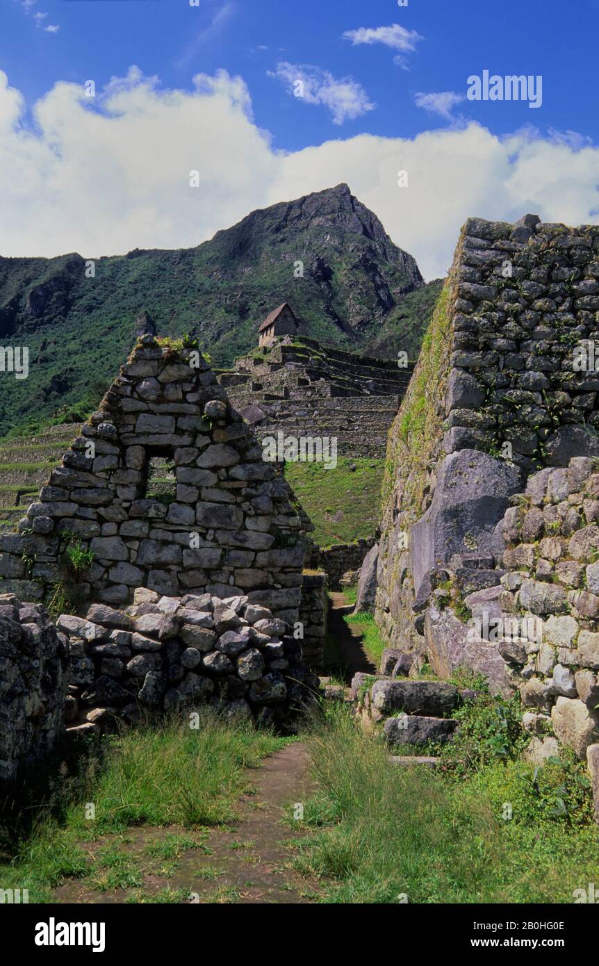 PERU, HEILIGES TAL, MACHU PICCHU Stockfoto