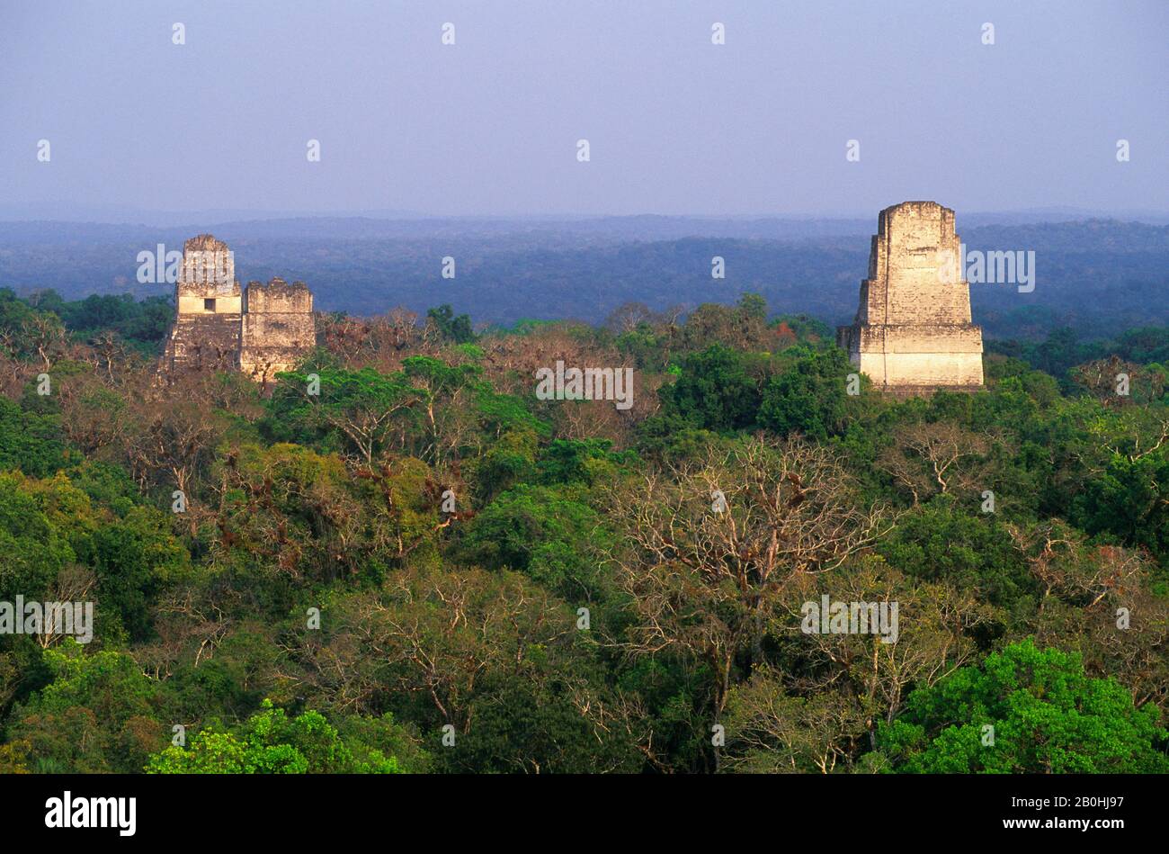 GUATEMALA, TIKAL, BLICK AUF TEMPEL III (RECHTS), TEMPEL II UND TEMPEL I VON TEMPEL IV Stockfoto