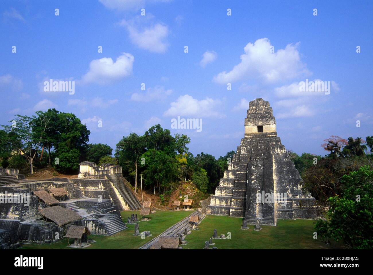 GUATEMALA, TIKAL, TEMPEL DES RIESIGEN JAGUAR (TEMPEL I), GREAT PLAZA Stockfoto
