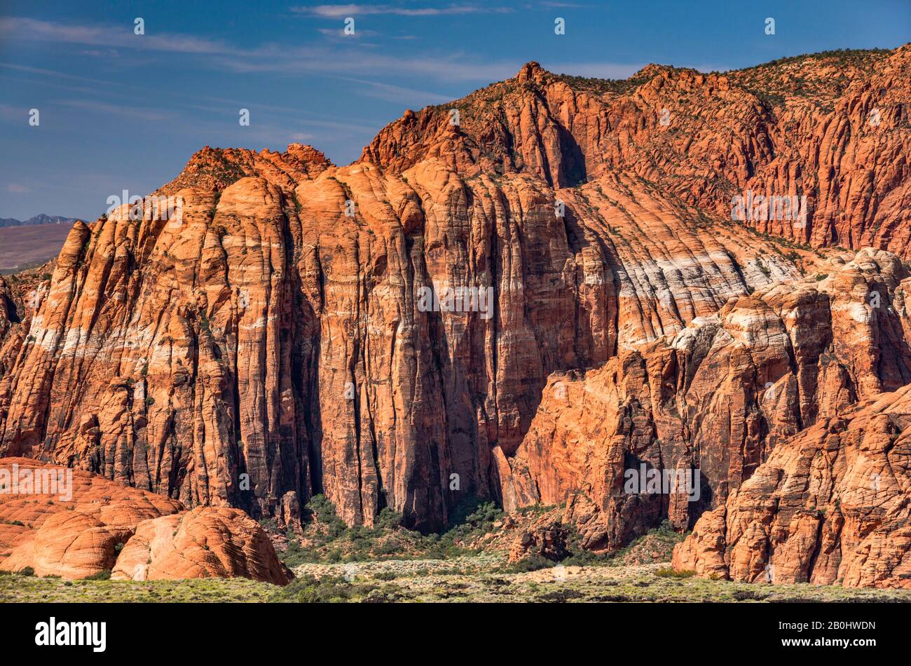 Felsformationen aus Navajo-Sandstein im Snow Canyon State Park, Utah, USA Stockfoto