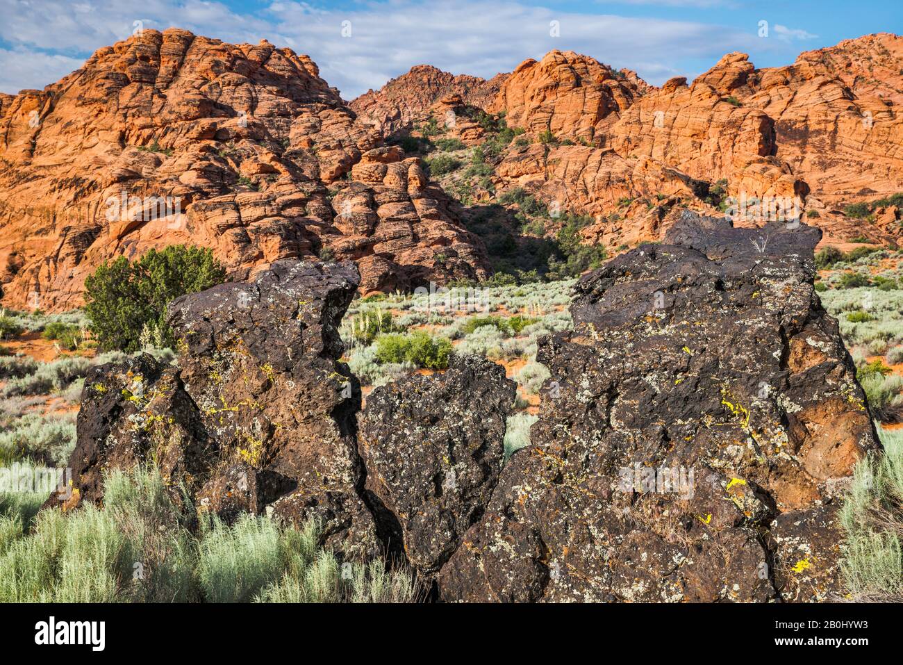 Basaltvulkanische Felsen und Felsformationen aus Navajo-Sandstein, Whiptail Trail im Snow Canyon State Park, Utah, USA Stockfoto
