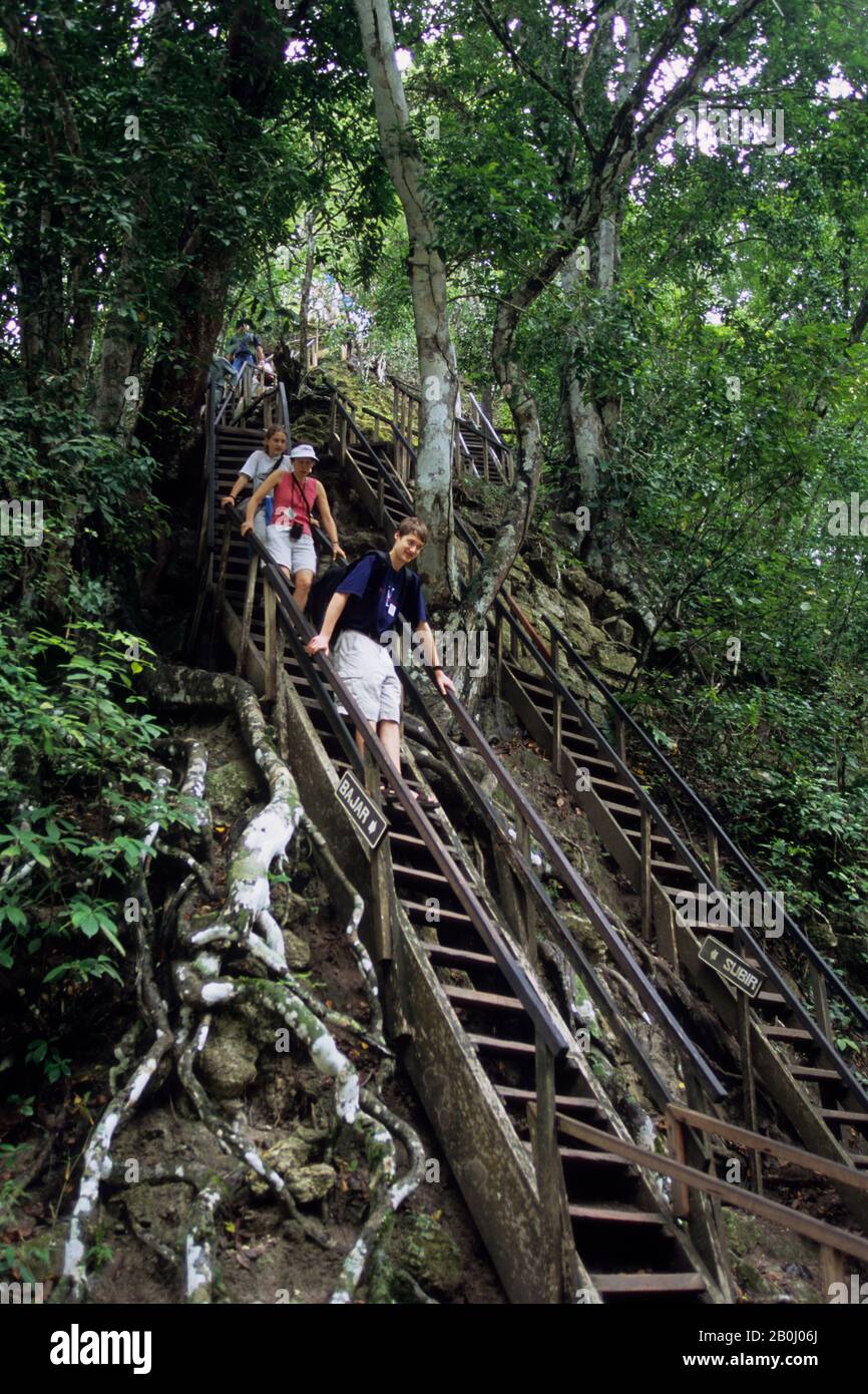 GUATEMALA, TIKAL, TEMPEL IV, TOURISTEN, DIE SCHRITTE HINABGEHEN (MR) Stockfoto