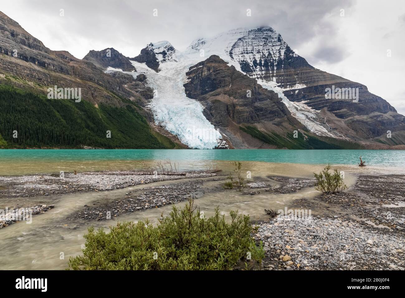 Blick vom Hargreaves Shelter des Berg-Gletschers in den Berg Lake im Mount Robson Provincial Park, British Columbia, Kanada Stockfoto