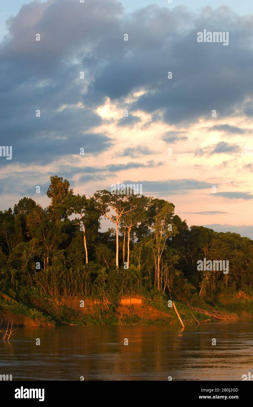 PERU, AMAZONASBECKEN, UCAYALI-FLUSS, REGENWALD IM ABENDLICHT Stockfoto