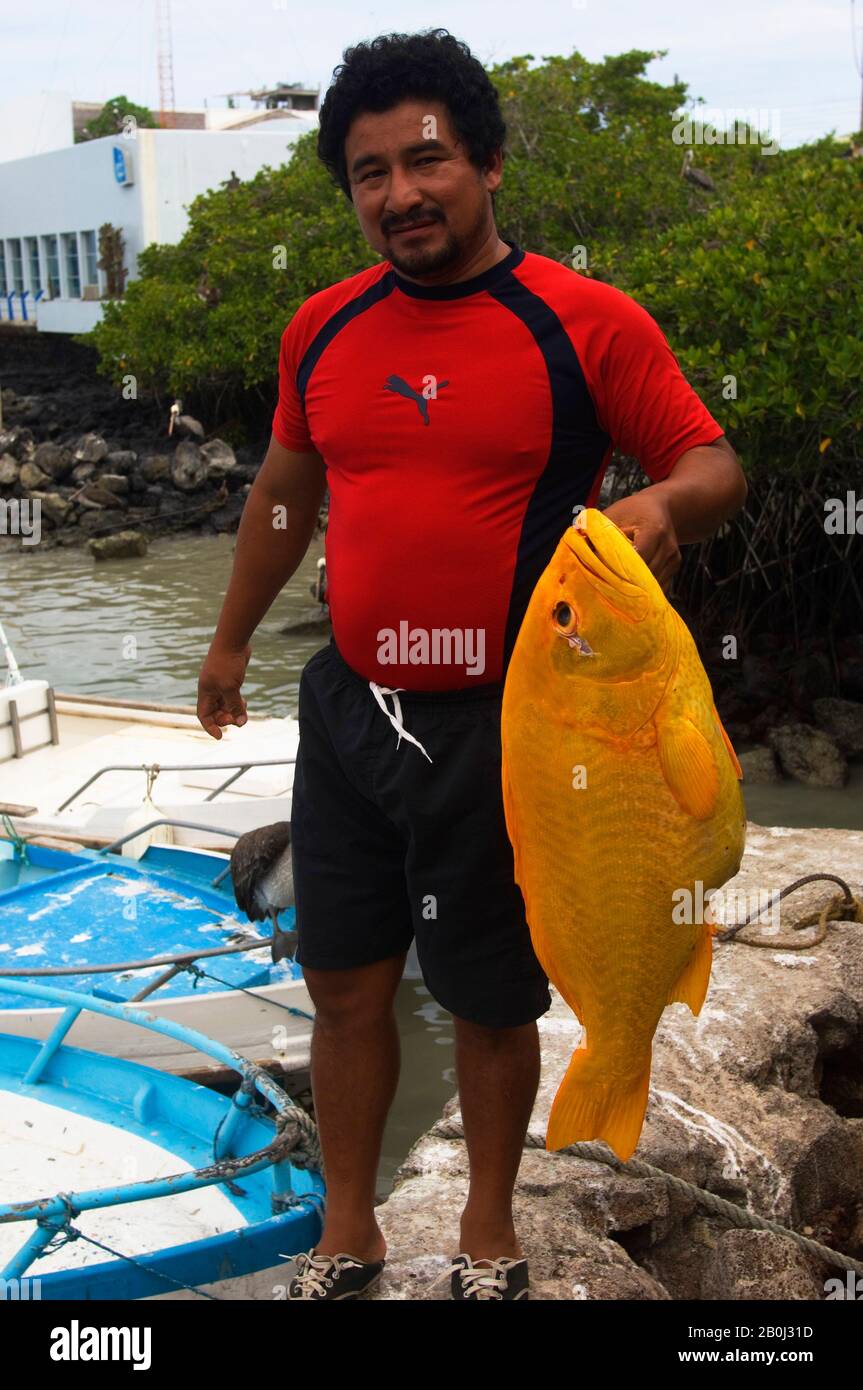 ECUADOR, GALAPAGOS-INSELN, INSEL SANTA CRUZ, PUERTO AYORA, FISCHER MIT FISCH Stockfoto