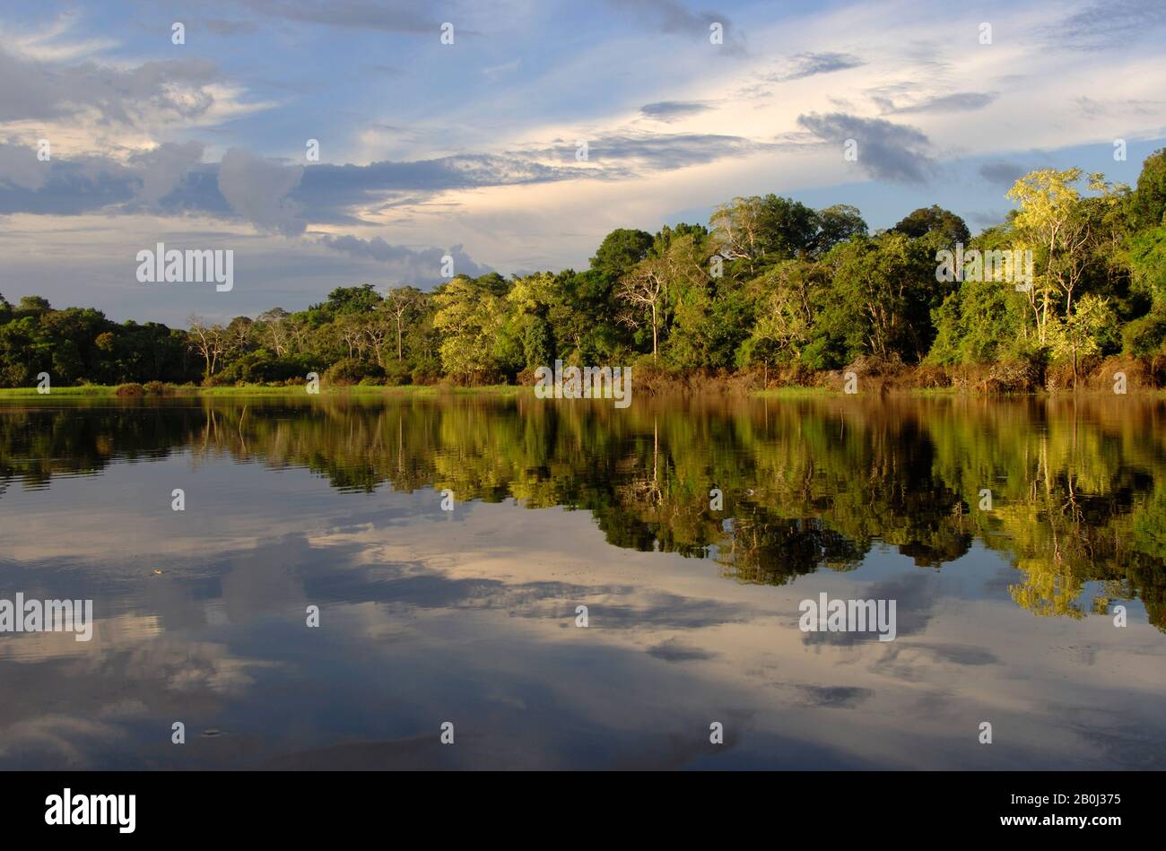 PERU, AMAZONAS-FLUSS, IN DER NÄHE VON IQUITOS, KLEINER ZUFLUSS, REGENWALD, REFLEXIONEN Stockfoto