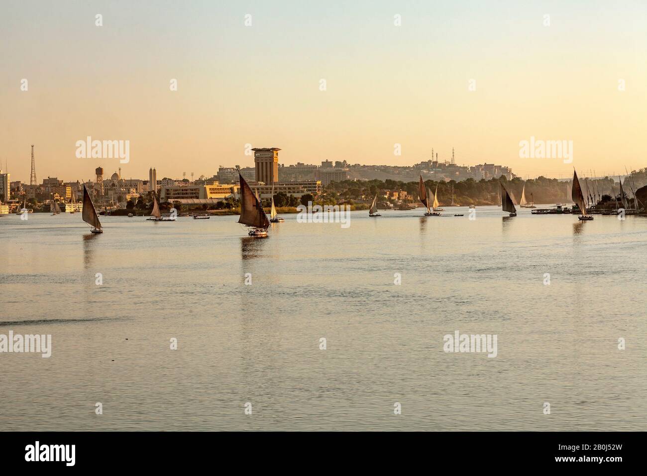 Traditionelle Feluken am Nil, Assuan, Ägypten Stockfoto