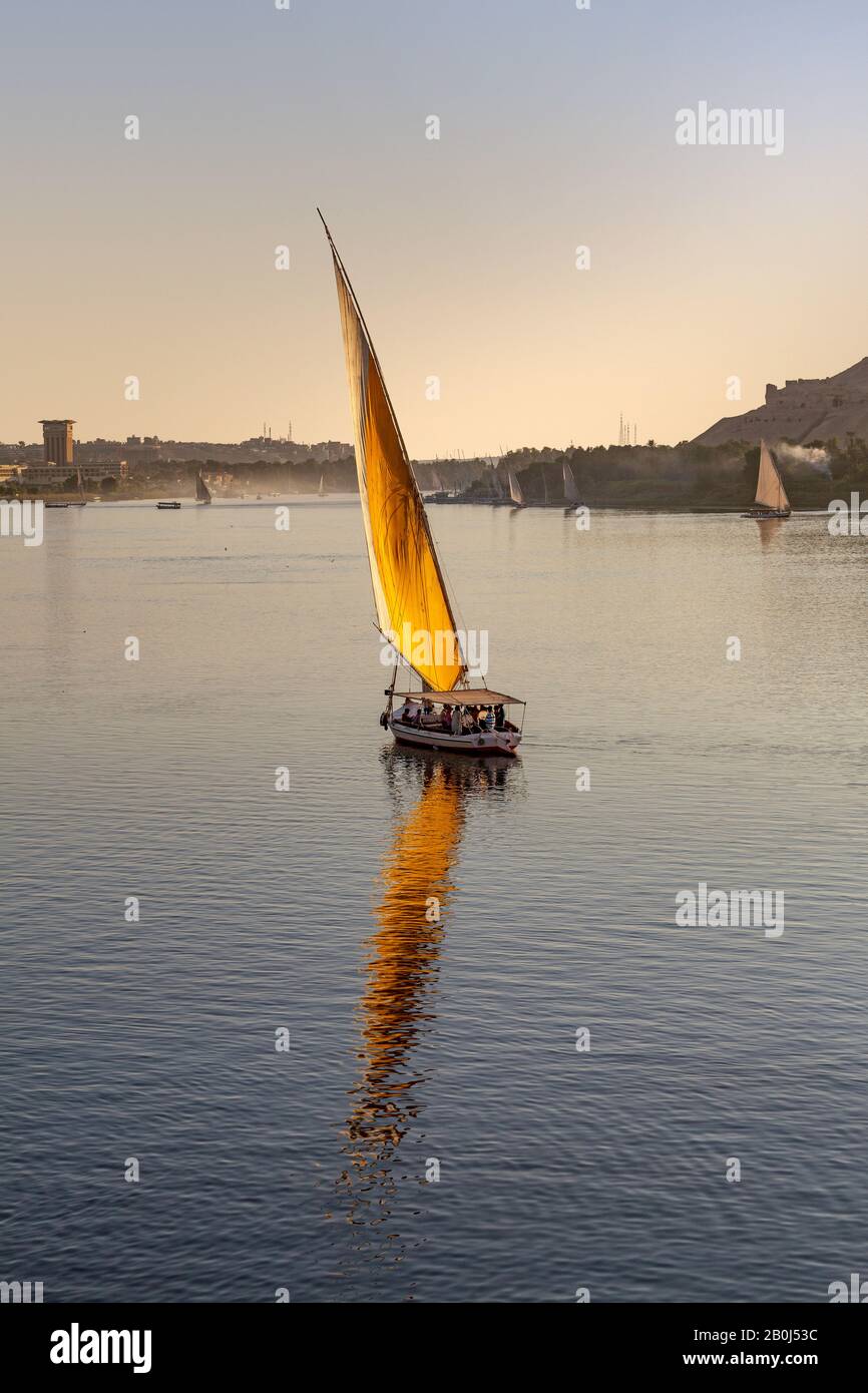 Felucca am Nil, Assuan, Ägypten Stockfoto